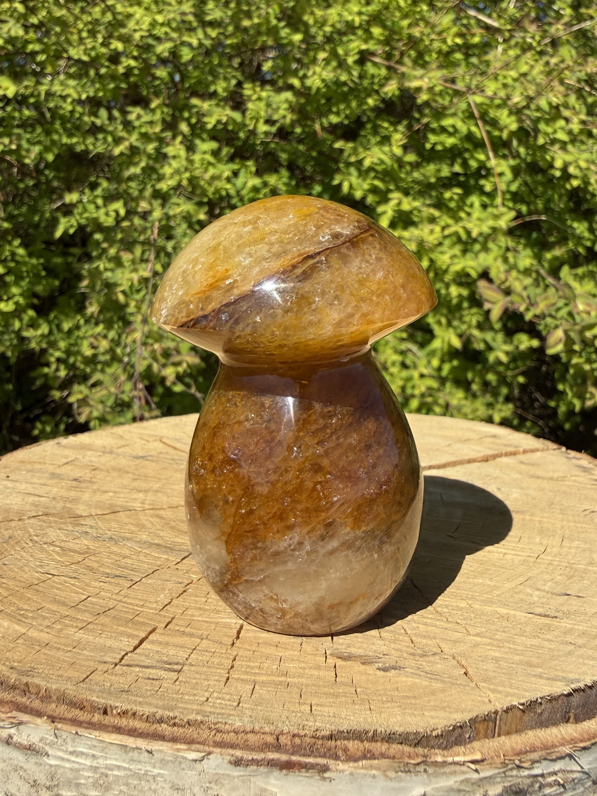 Golden Healer Paddehat 8 cm 1