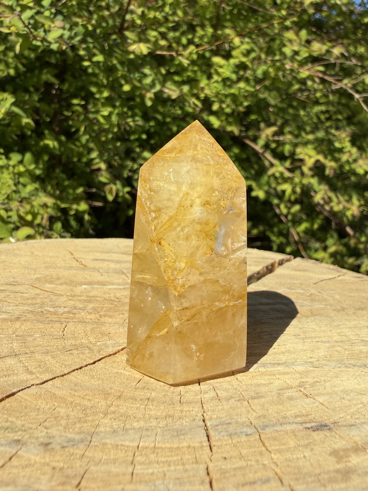 Golden Healer Tårn 4 - 5 cm 1