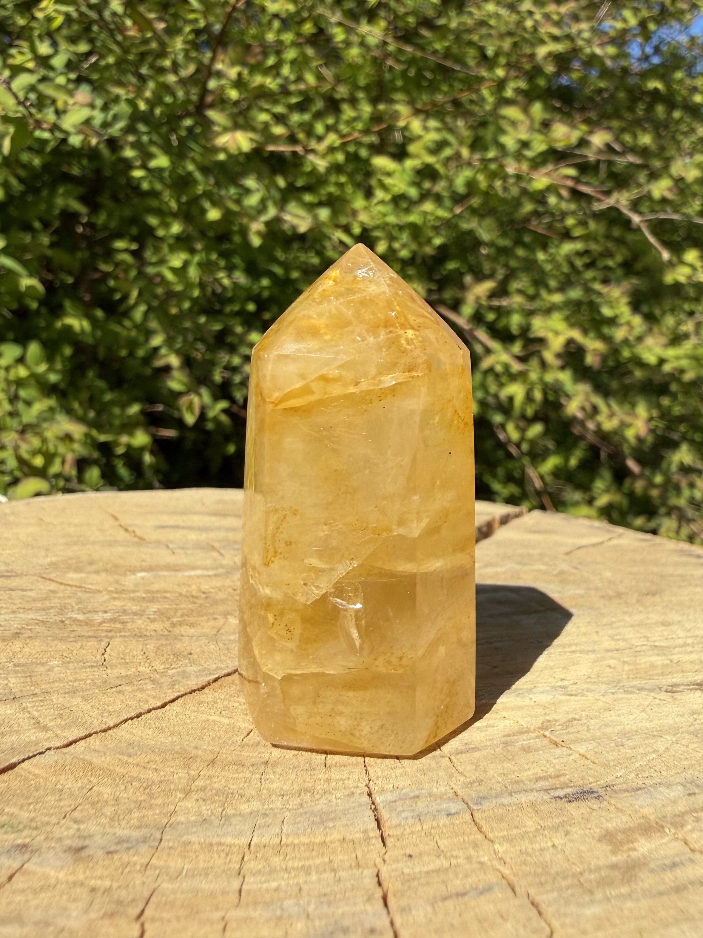 Golden Healer Tårn 4 - 5 cm 3