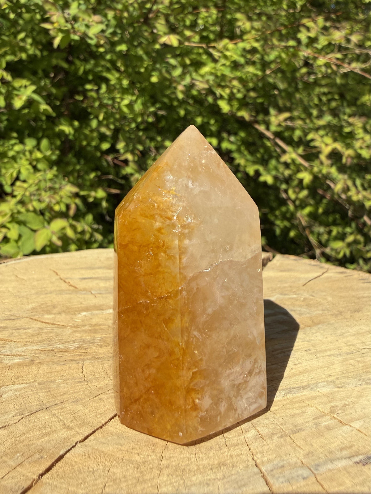 Golden Healer Tårn 6 cm 2
