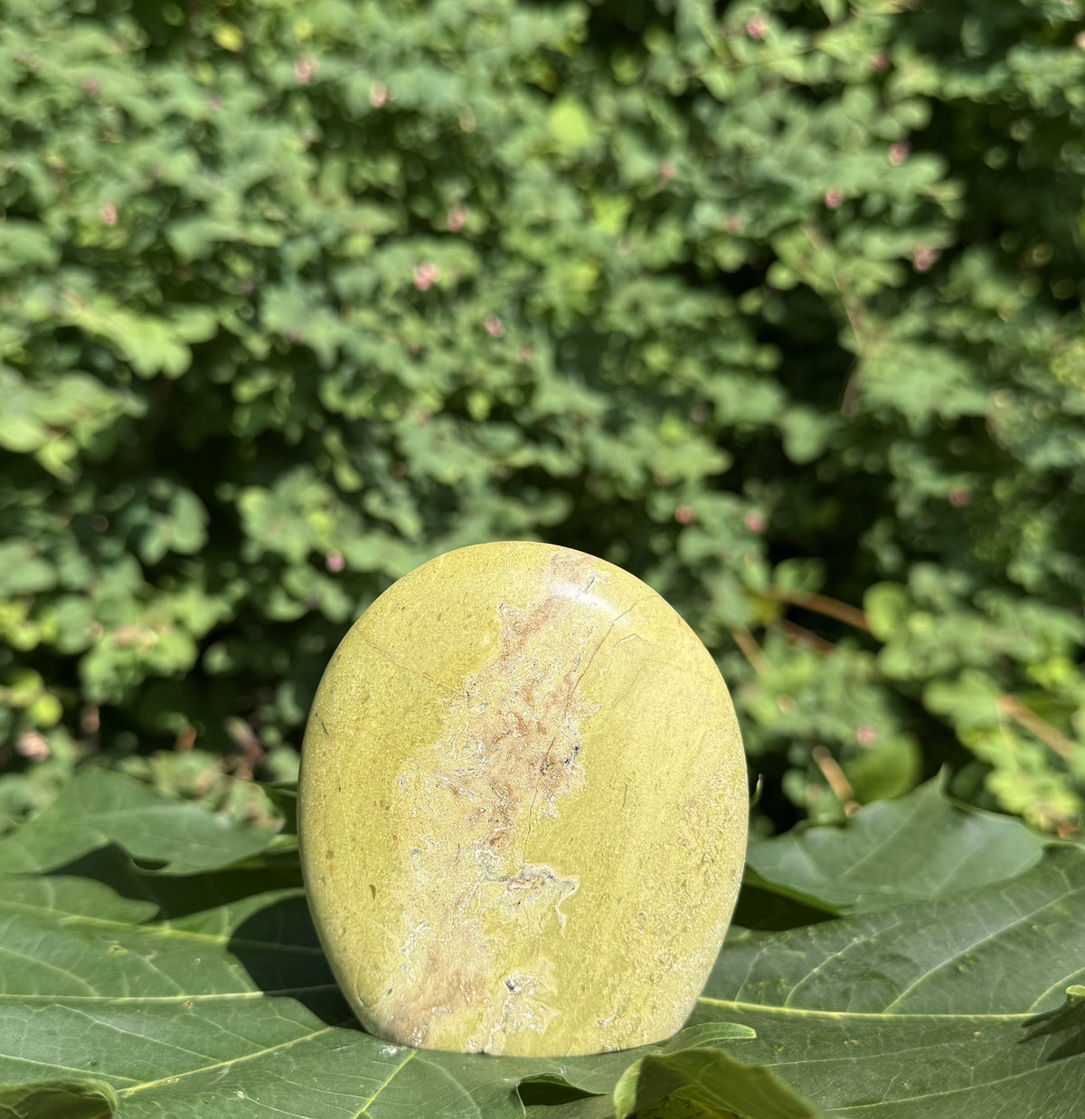 Grøn opal freeform 8 - 9 1