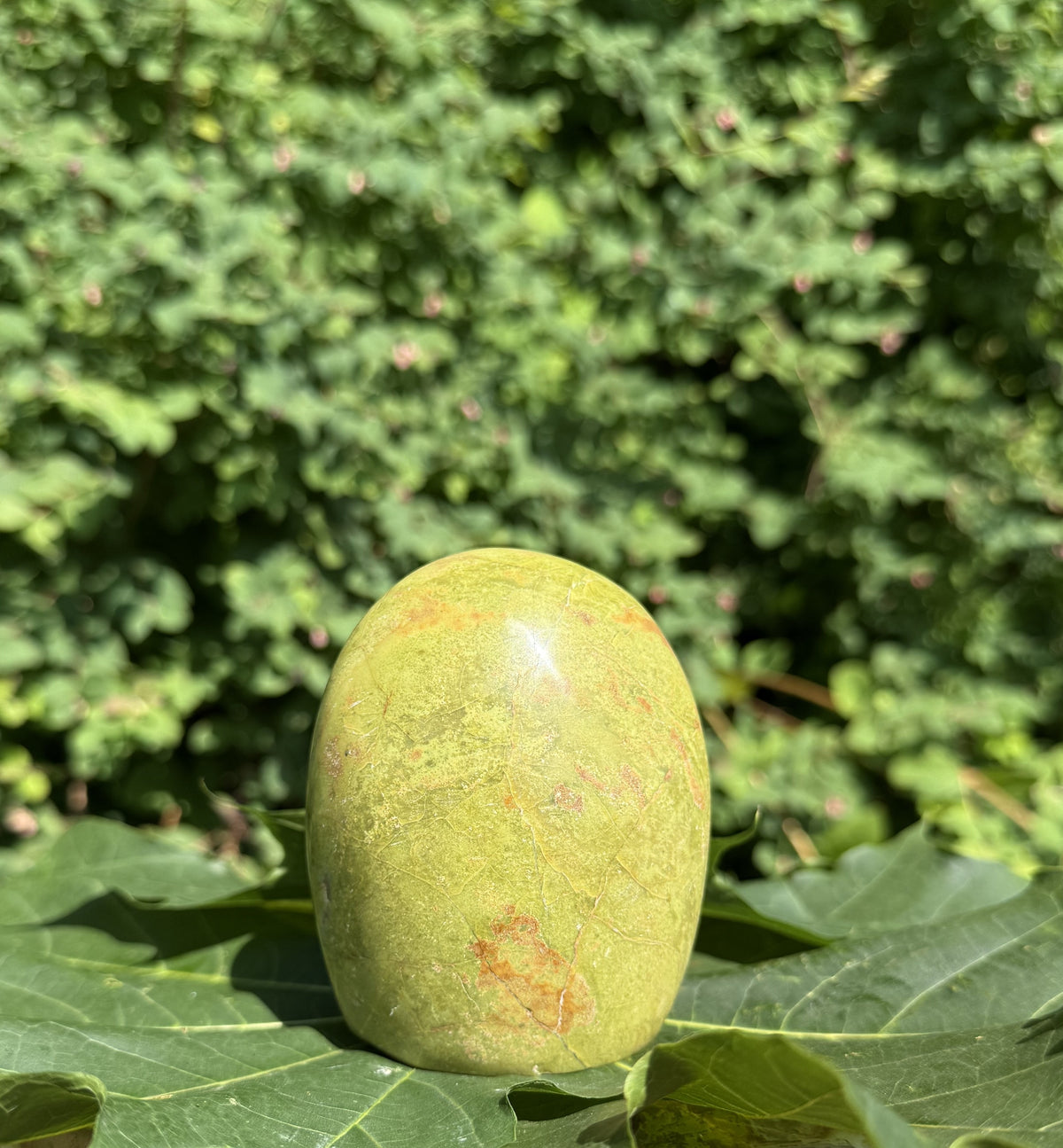 Grøn opal freeform 8 - 9 2