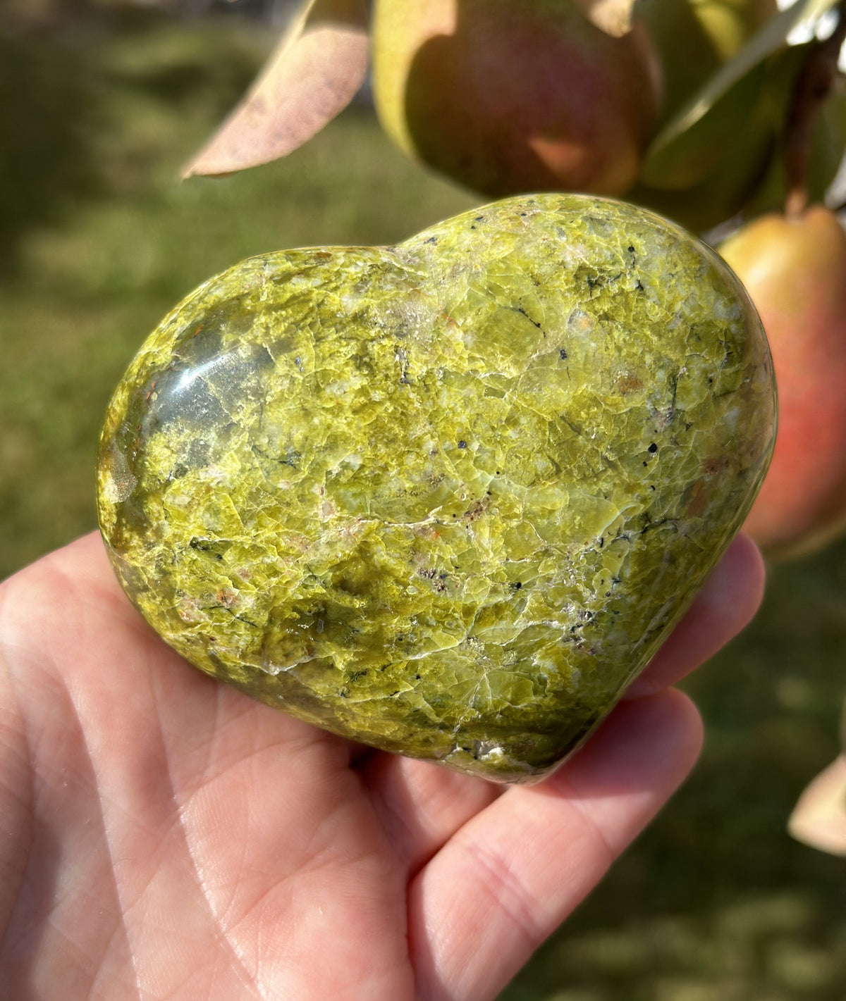 Grøn opal hjerte 5 - 6 cm 2