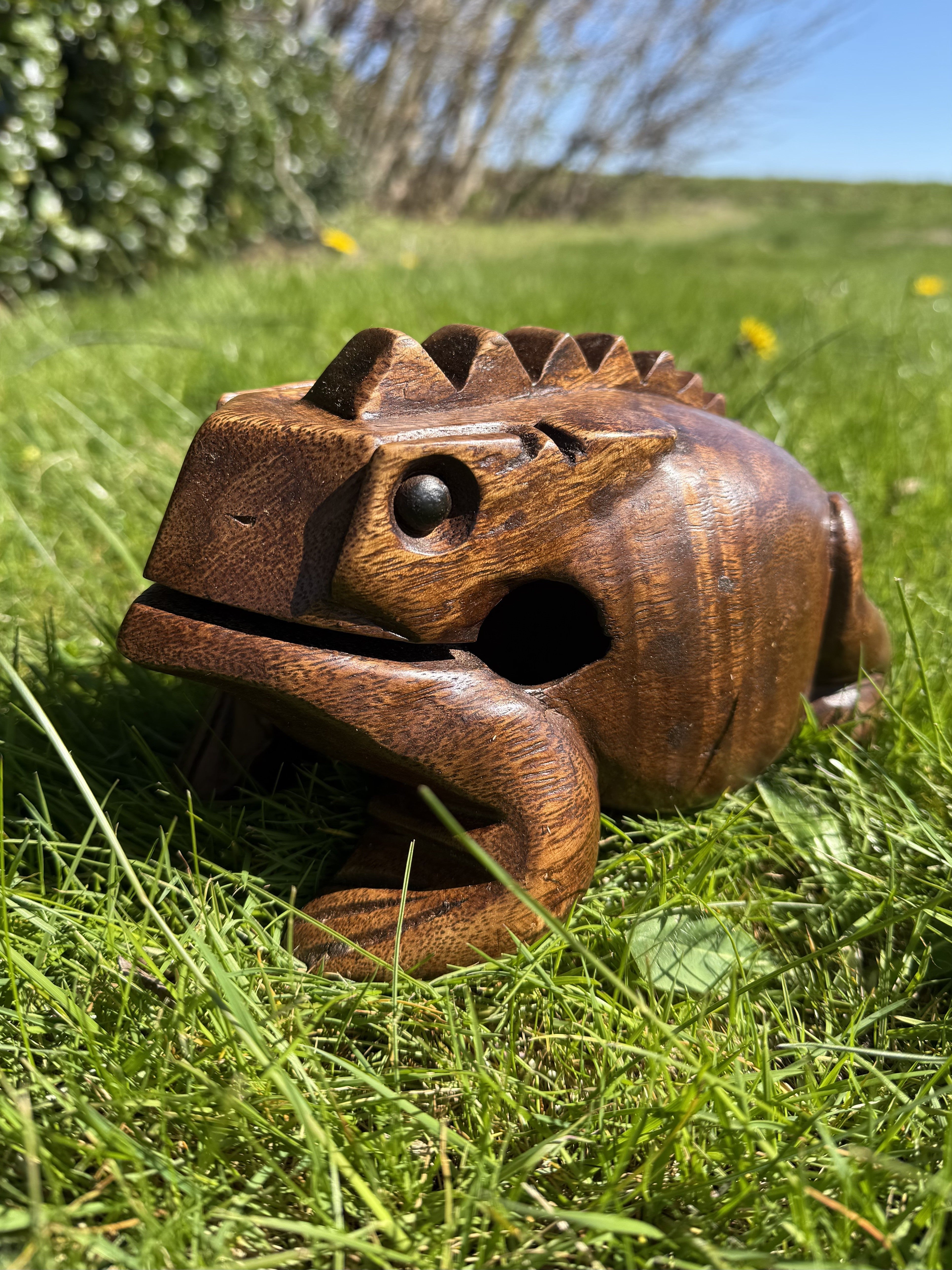 Guiro – Frø 20 cm 2