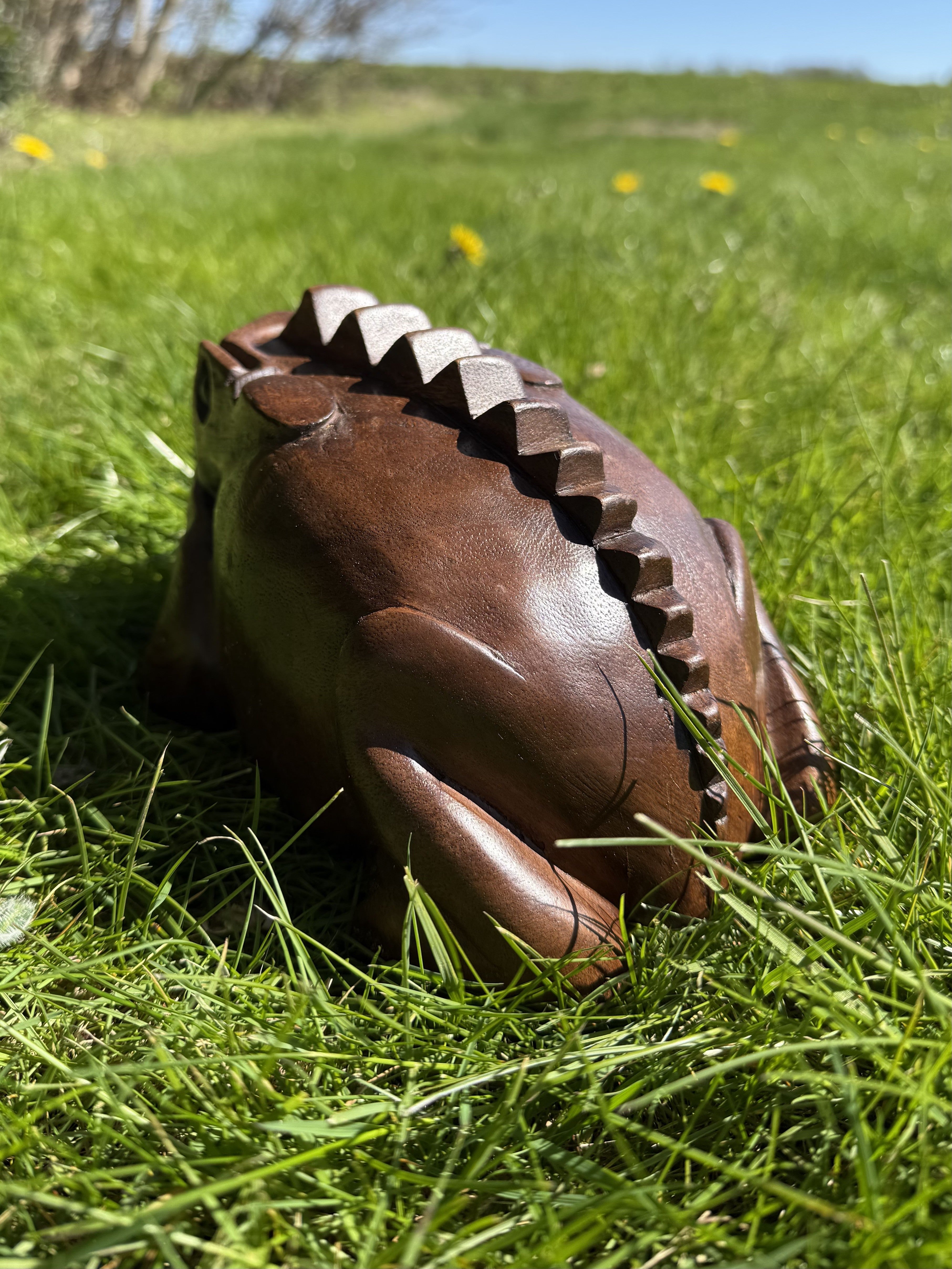 Guiro – Frø 20 cm 8