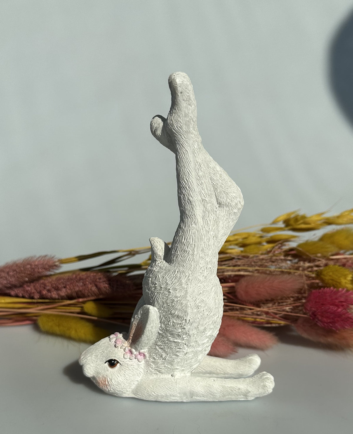 Hare i yogastilling 1 1