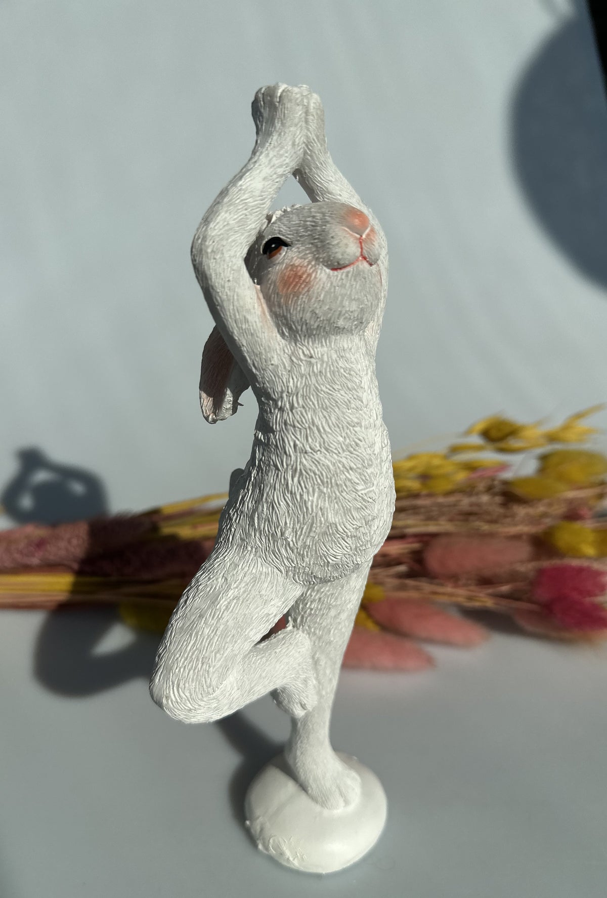Hare i yogastilling 1