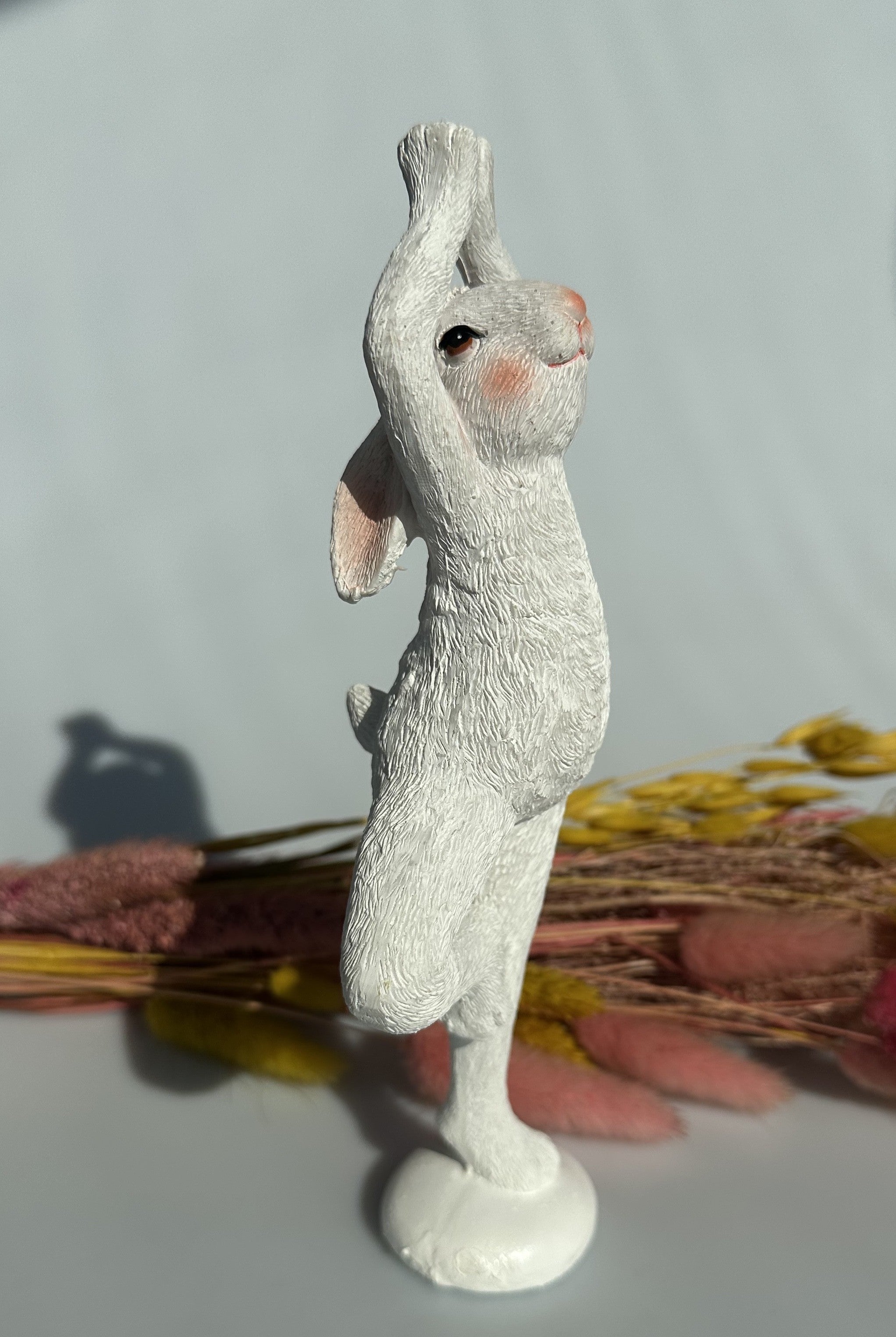 Hare i yogastilling 3
