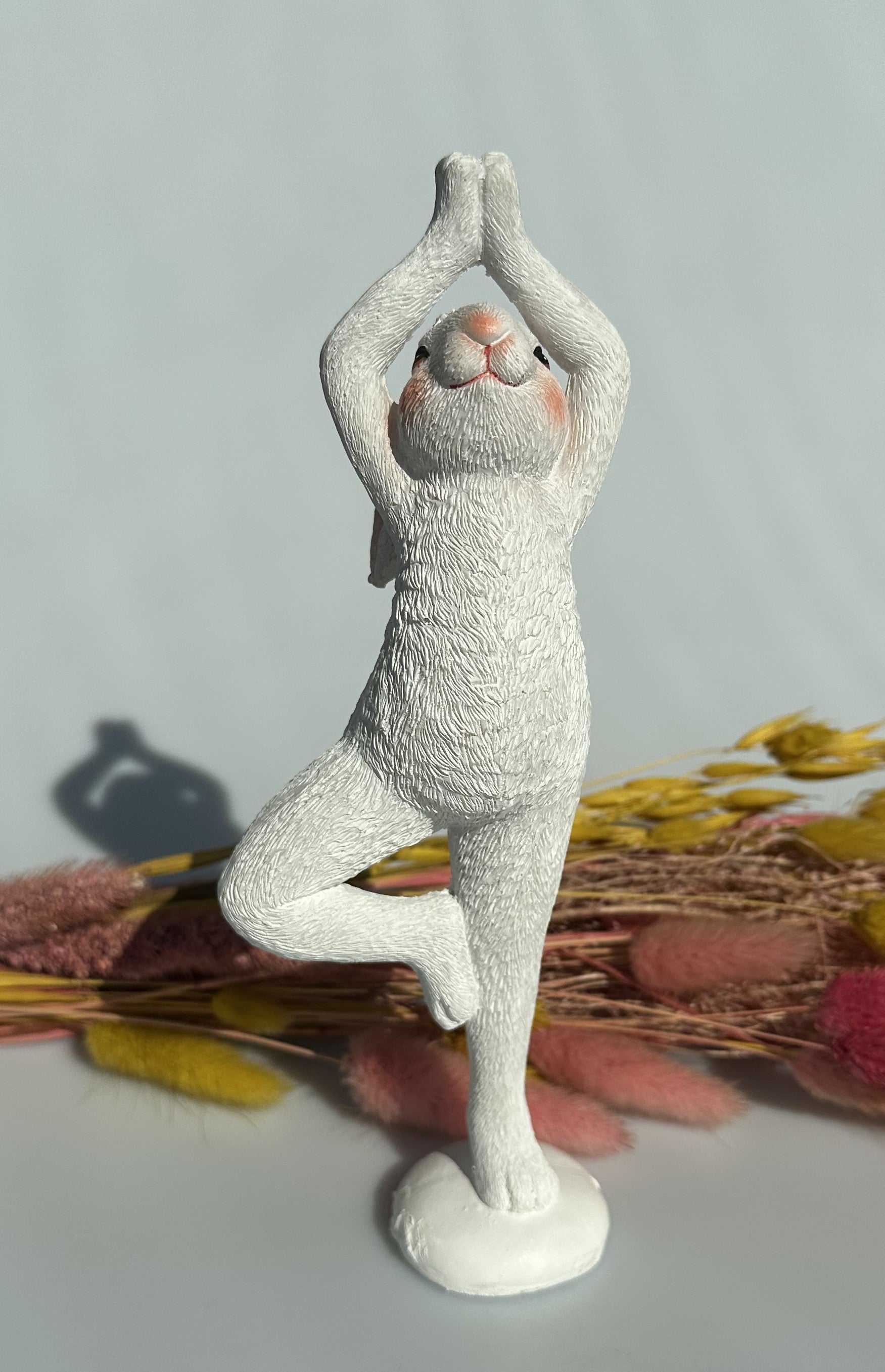 Hare i yogastilling 5