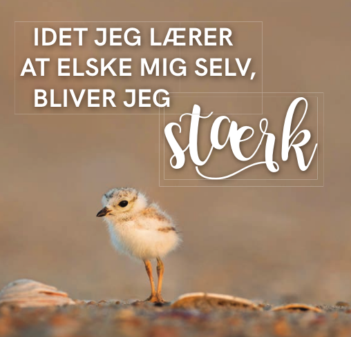 Hay Louise: LÆR AT ELSKE DIG SELV 4