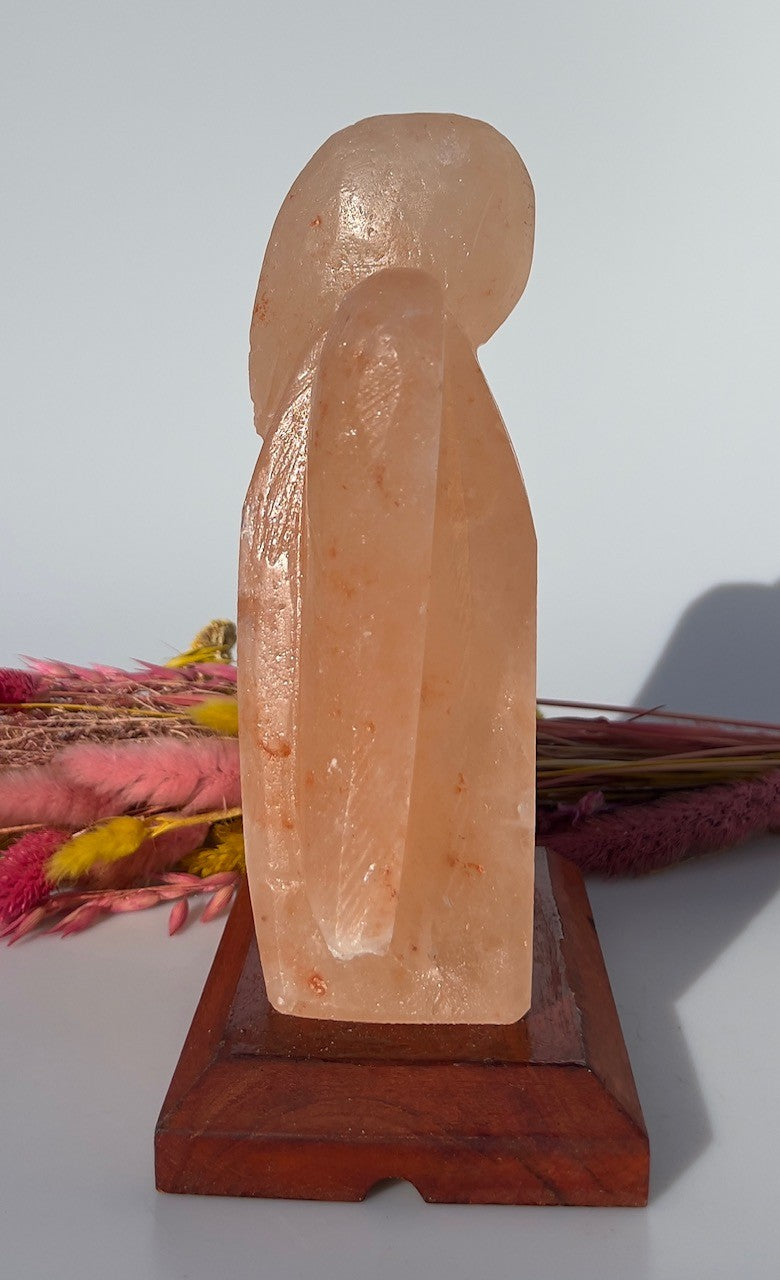 Himalaya Saltlampe med Engel 2