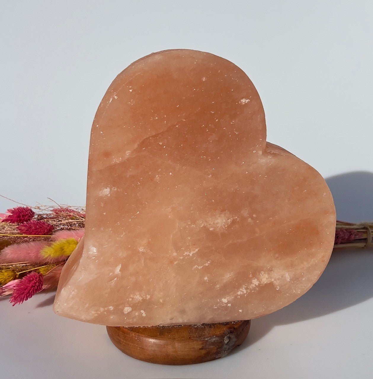 Hjerteformet Himalaya Saltlampe 1
