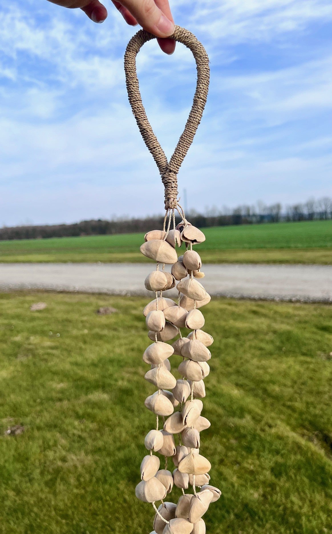 Instrument - seedshaker kenari 3