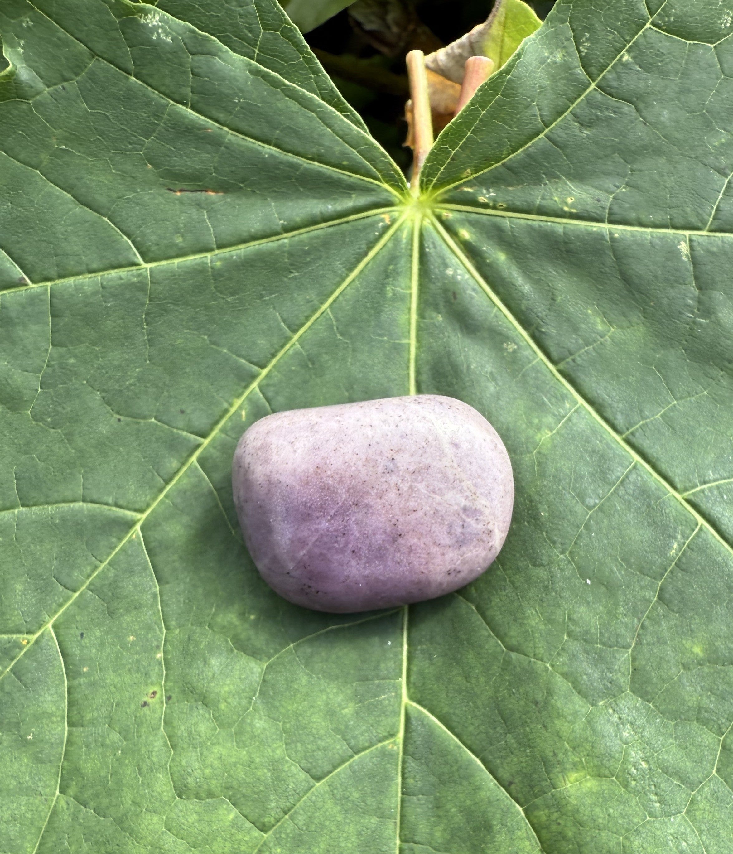 Jade lavendel lommesten 2