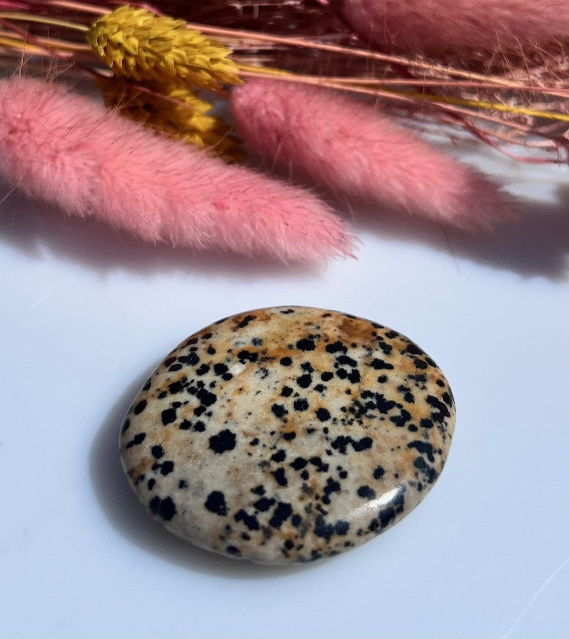 Jaspis Dalmatin disc 2