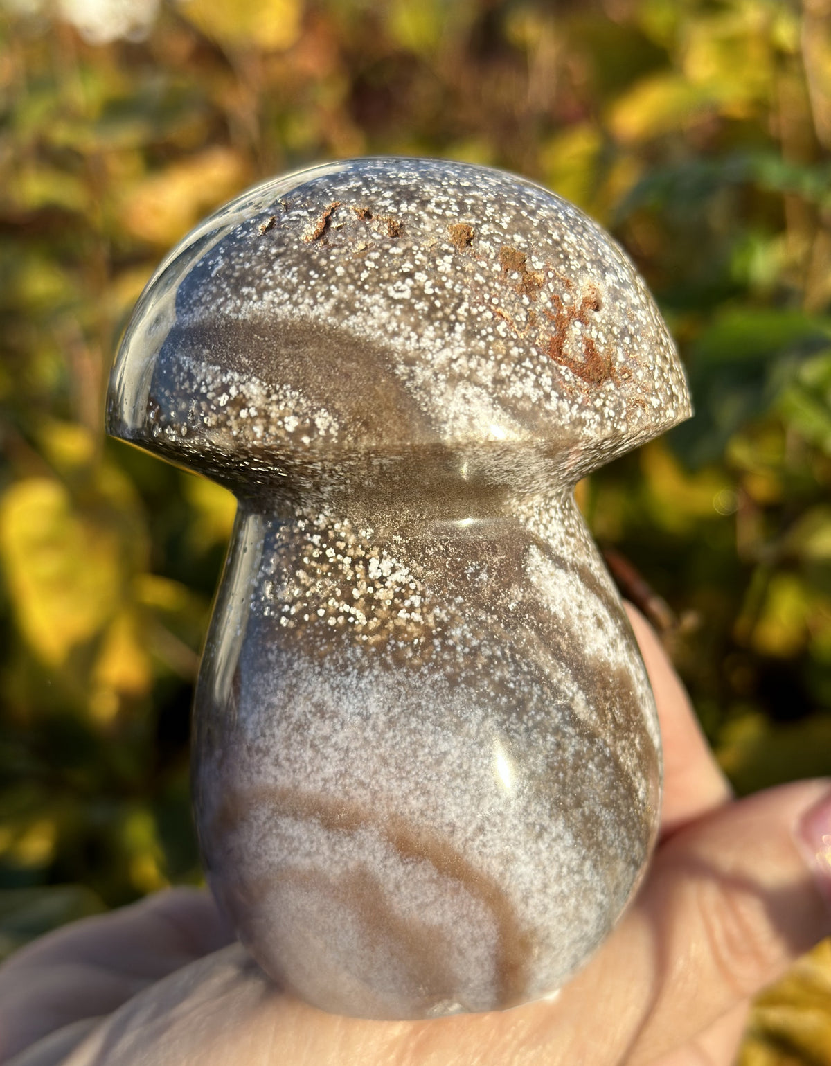 Jaspis Paddehat 9 cm 2