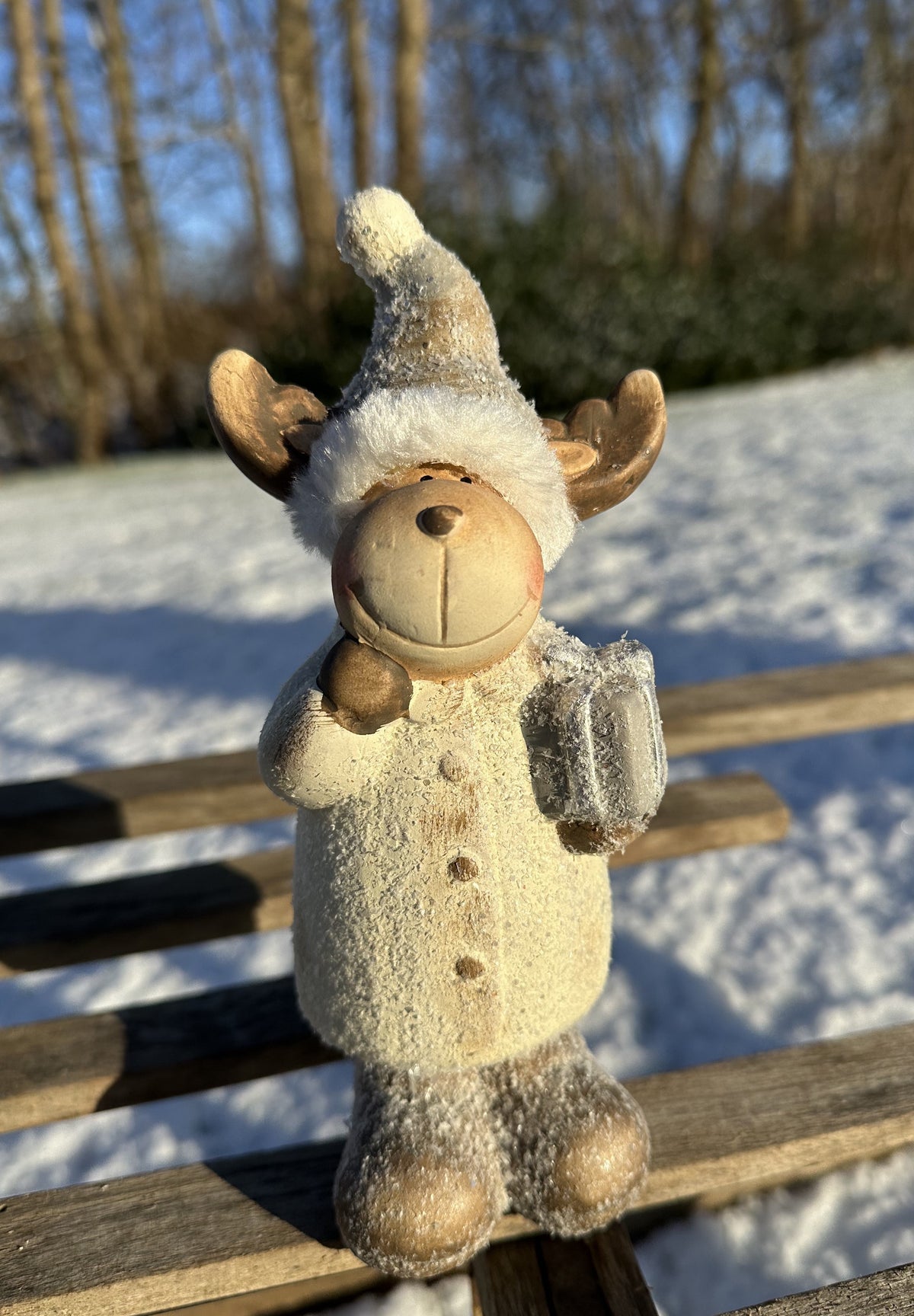 Juleelg 1