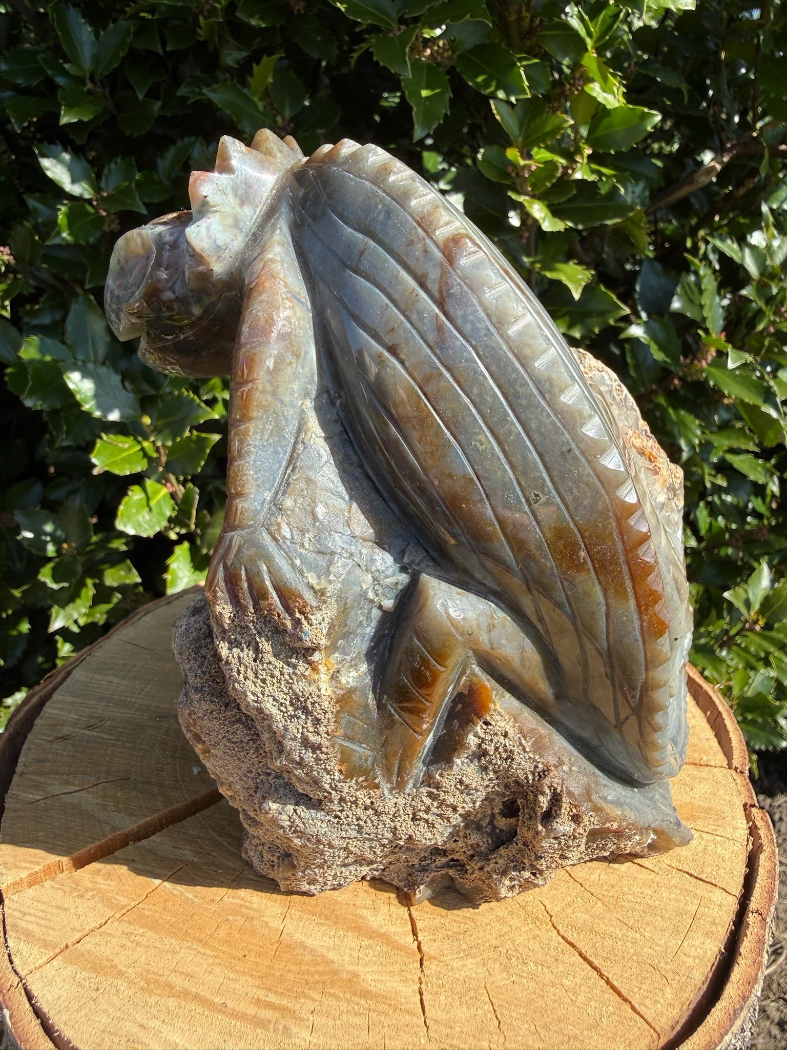 Kamæleon Jaspis 4