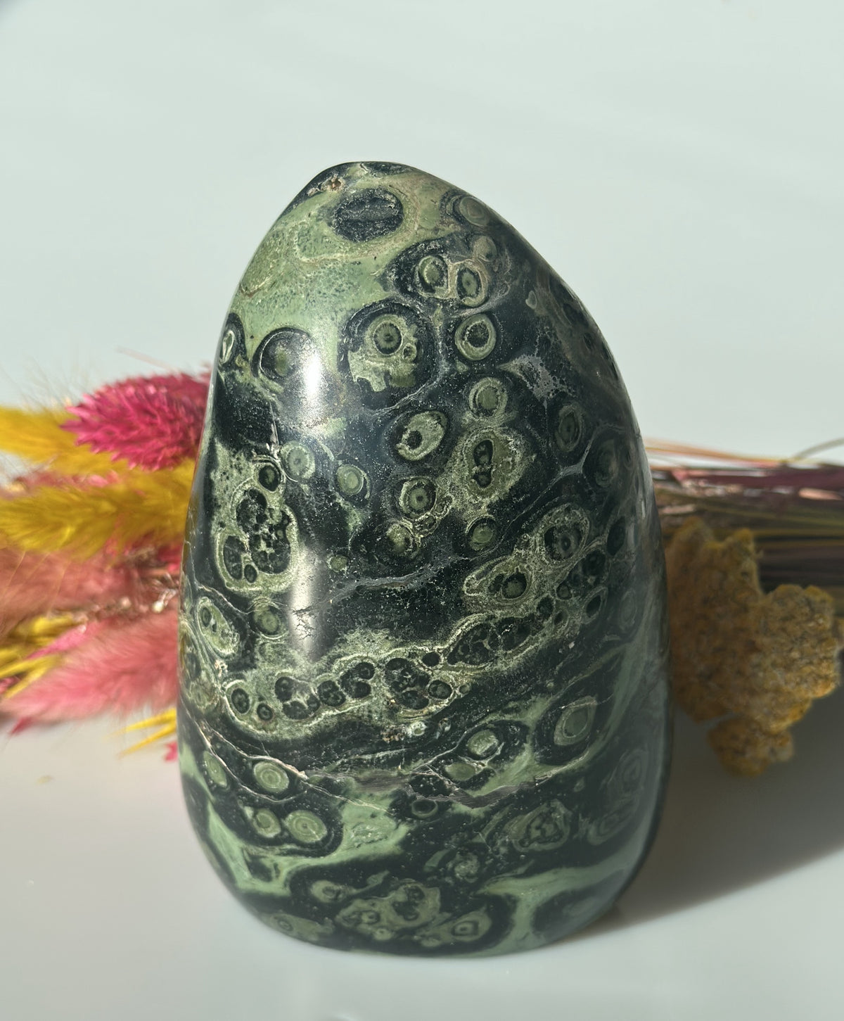 Kambaba freeform 13,1 cm 1