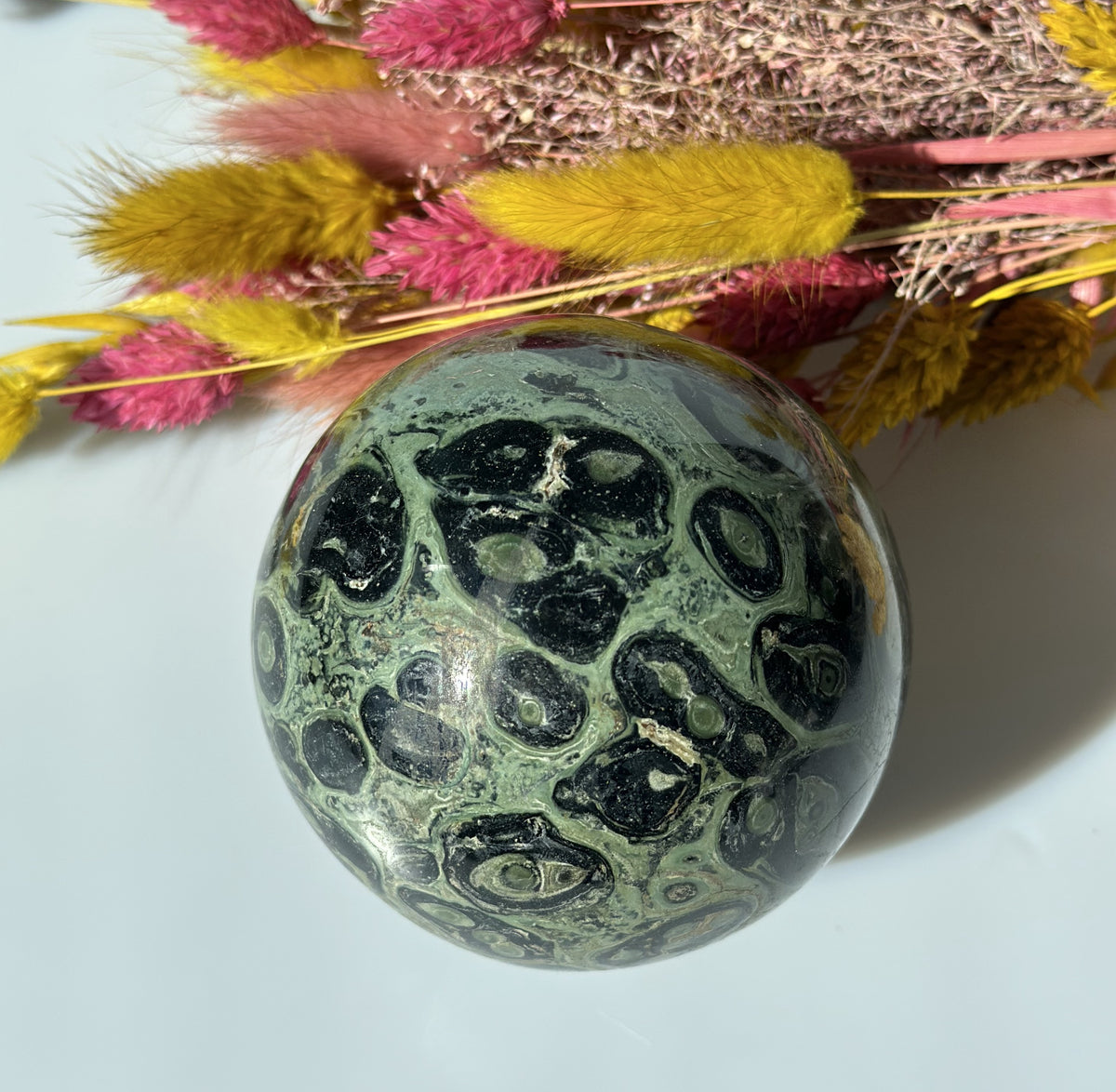 Kambaba kugle 8 - 9 cm 1