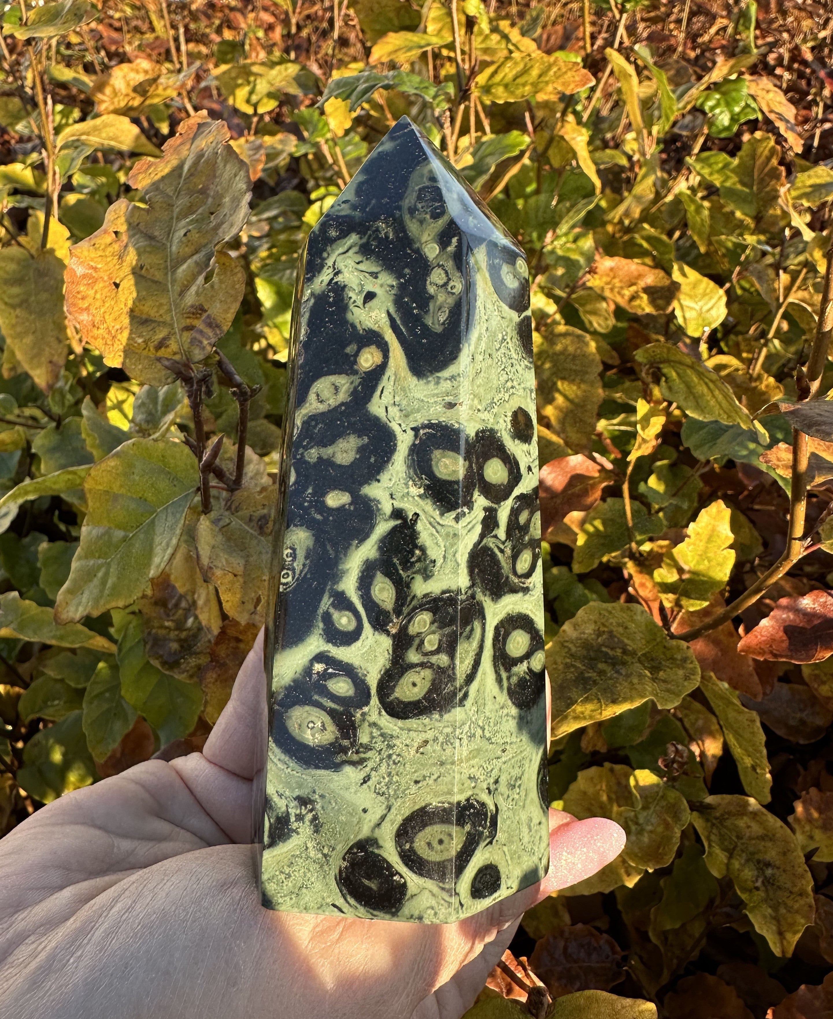 Kambaba tårn 14,5 cm 1