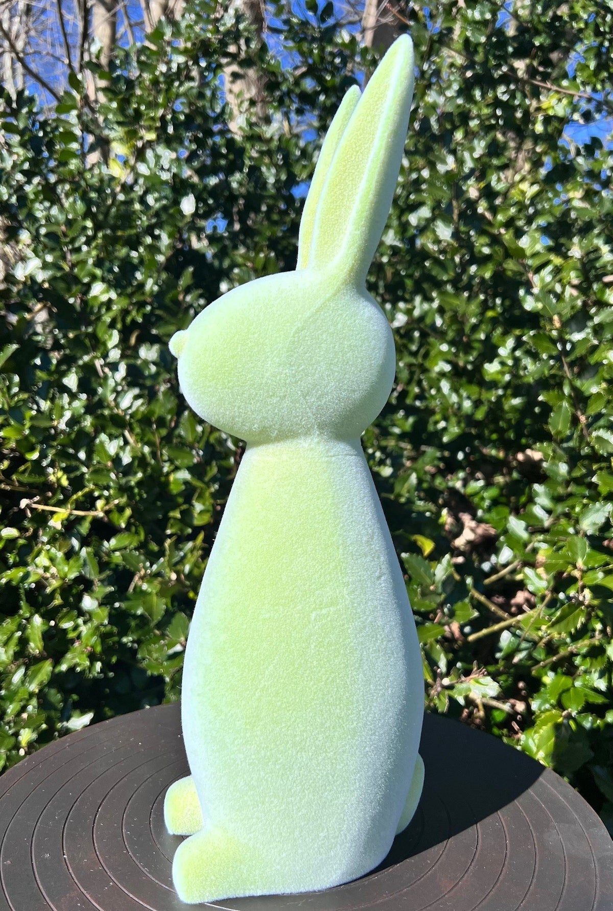 Kanin 40 cm 5