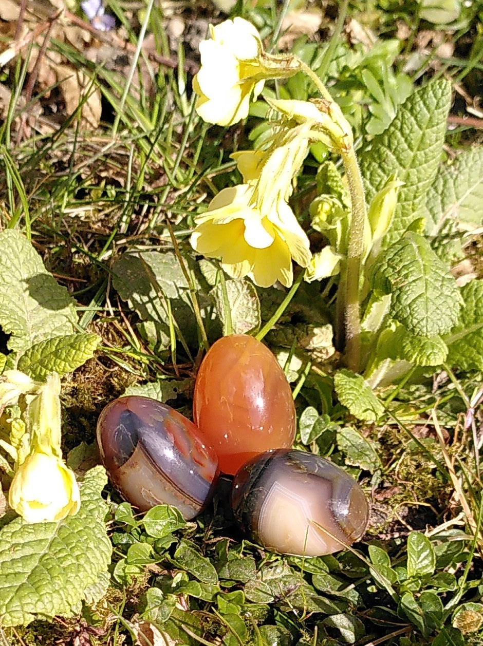 Karneol æg 3,5 cm 2