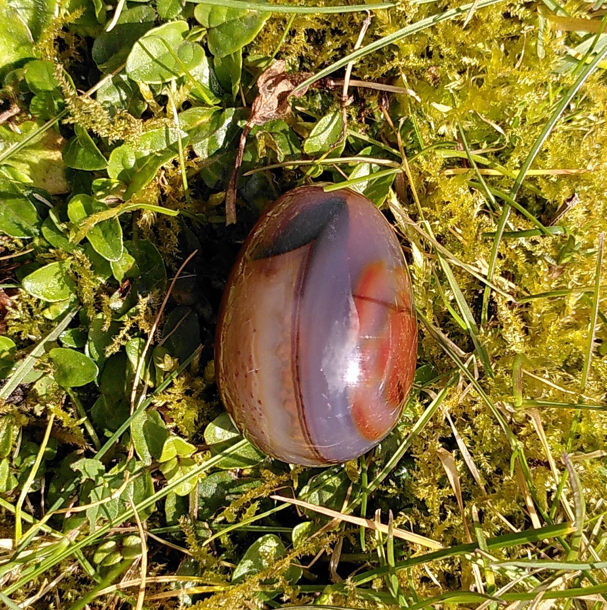 Karneol æg 3,5 cm 3