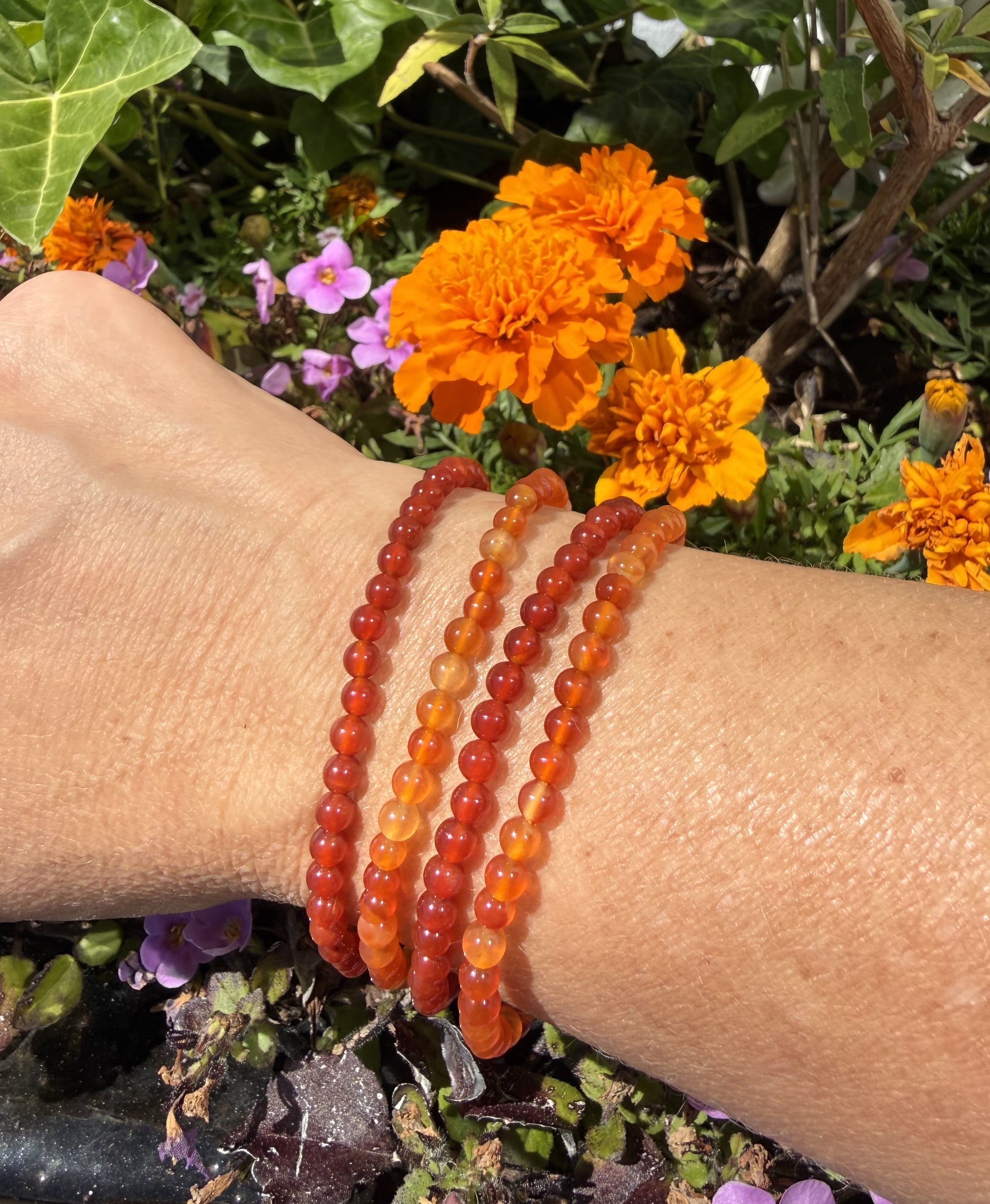Karneol armbånd 4 mm 1