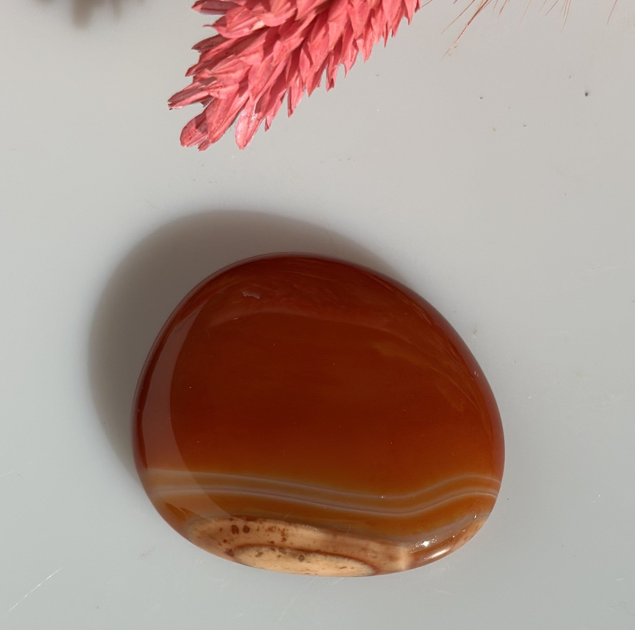 Karneol Disc 2
