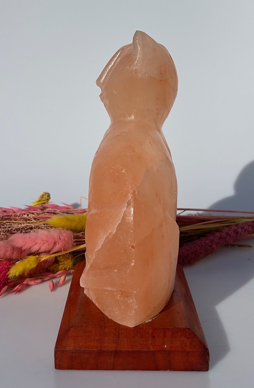 Lampe - Kat 3