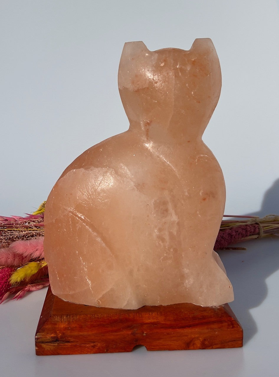 Lampe - Kat 4