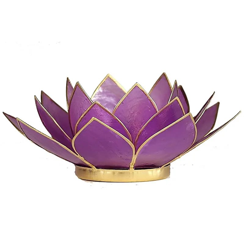 Lotus lysestage lilla 1