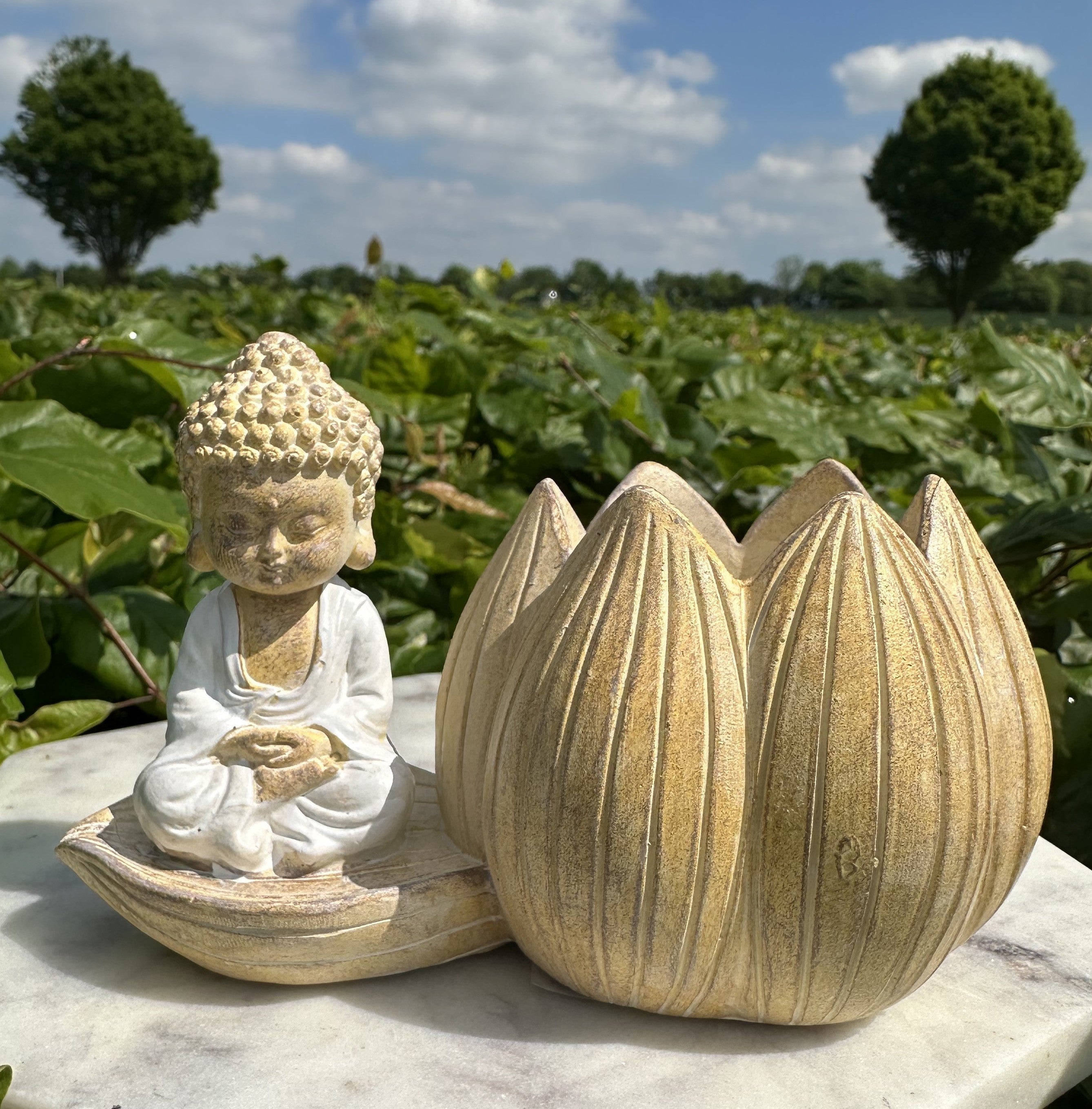 Lille buddha lotus lys 1
