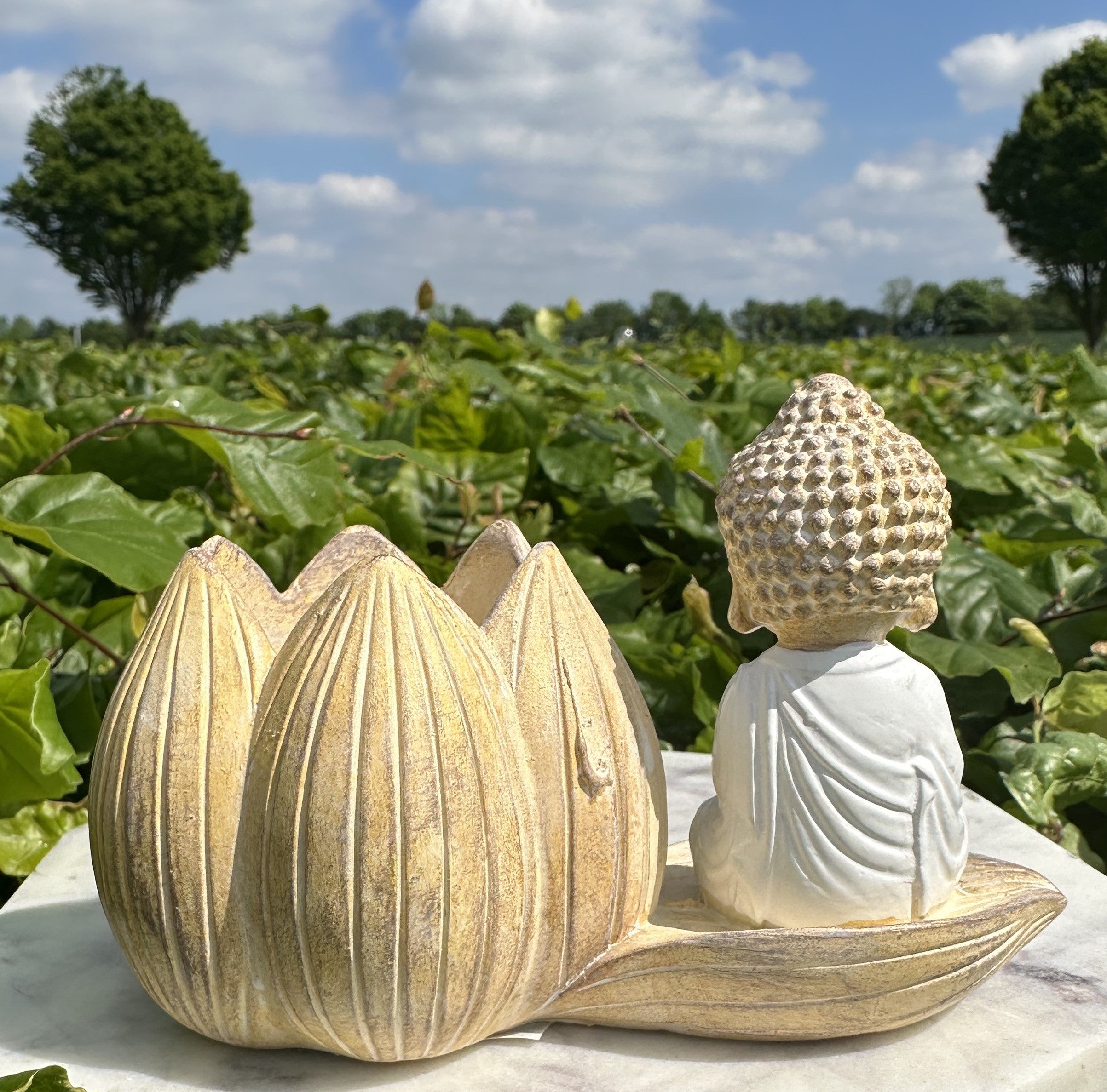 Lille buddha lotus lys 3