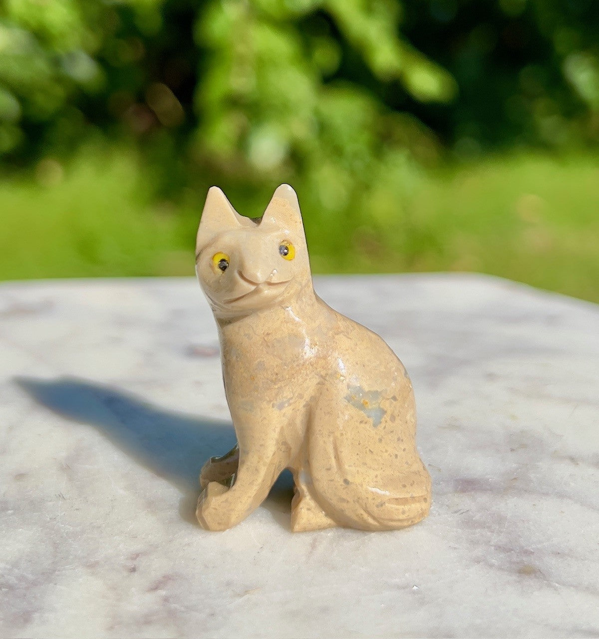 Lille kat Onyx 2