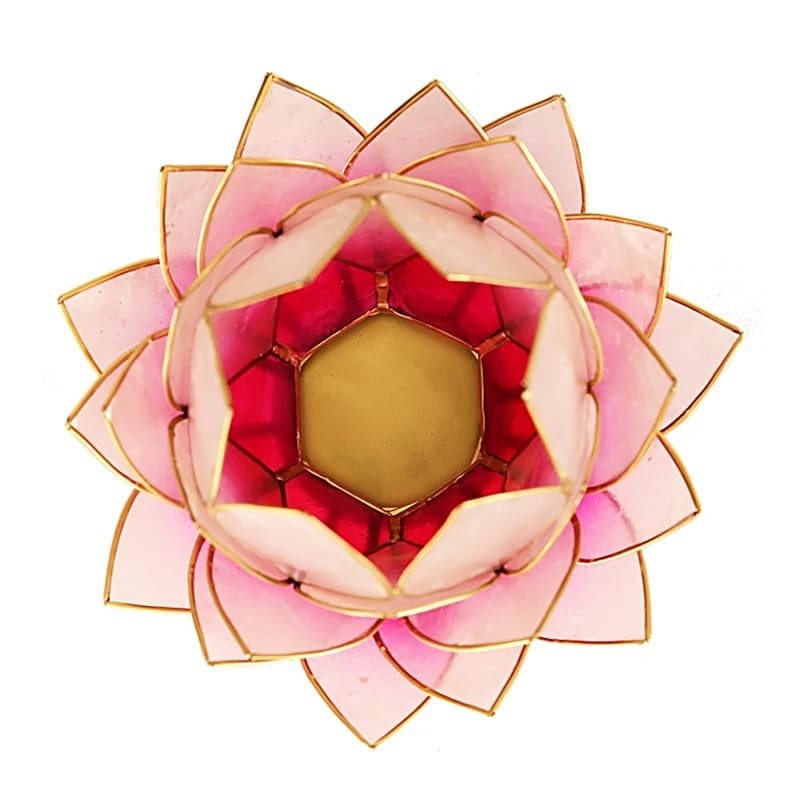 Lotus lyserød / guld L 2