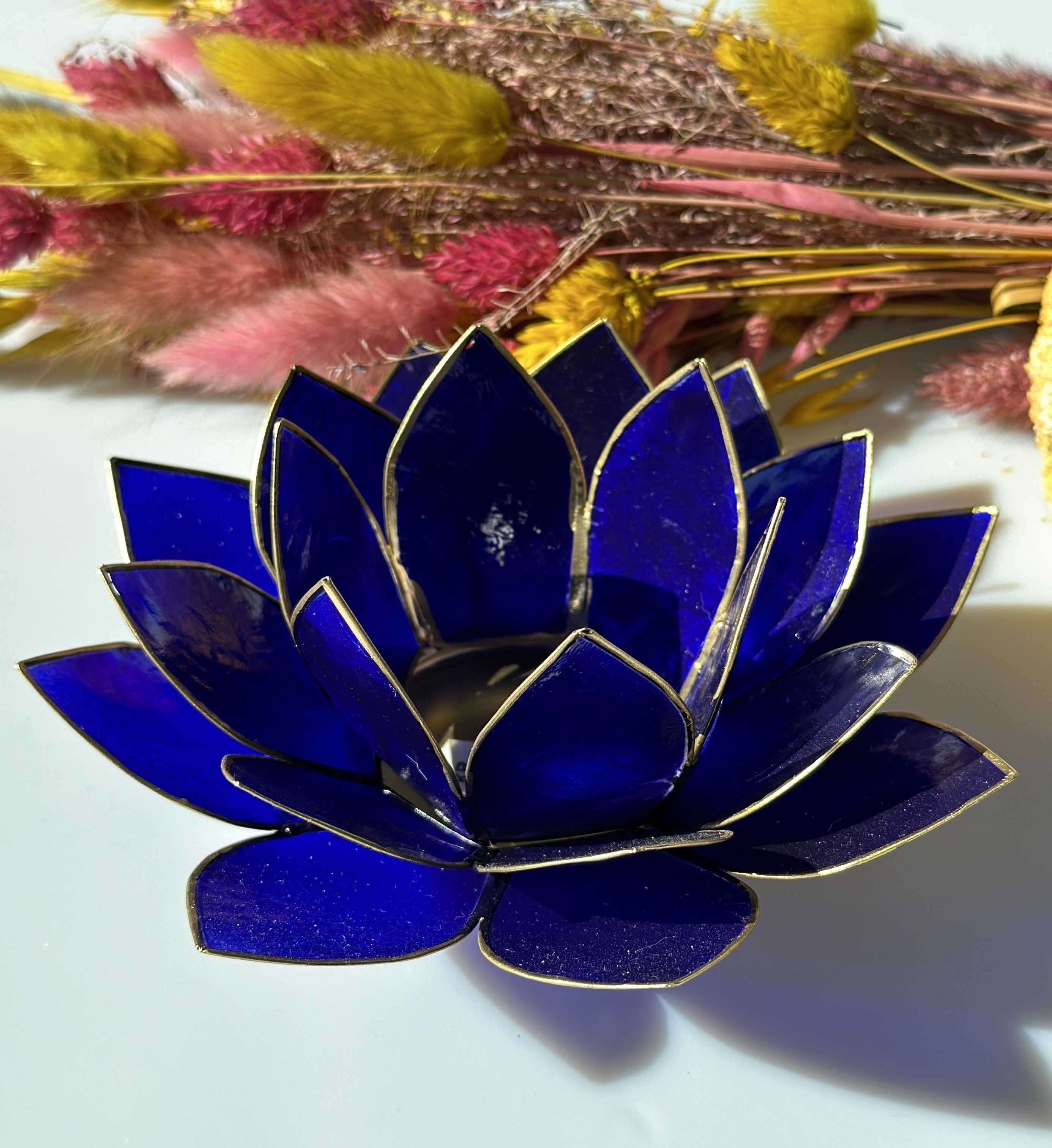 Lotus lysestage Indigo 1