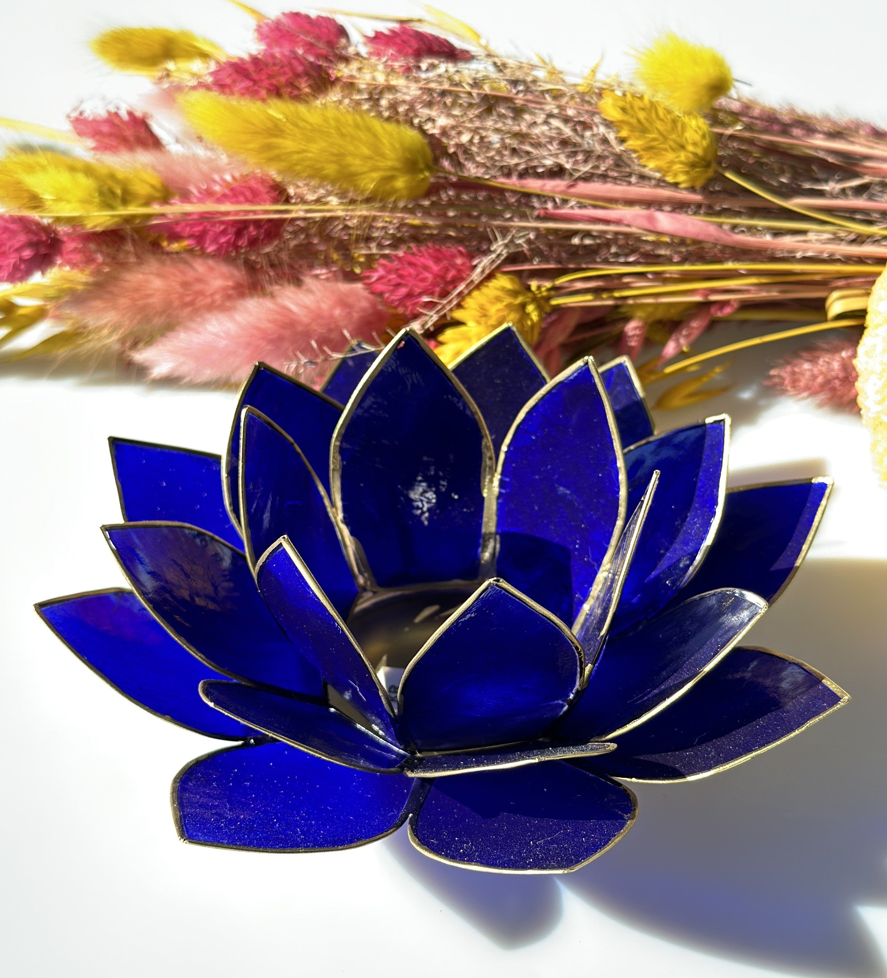 Lotus lysestage Indigo 4