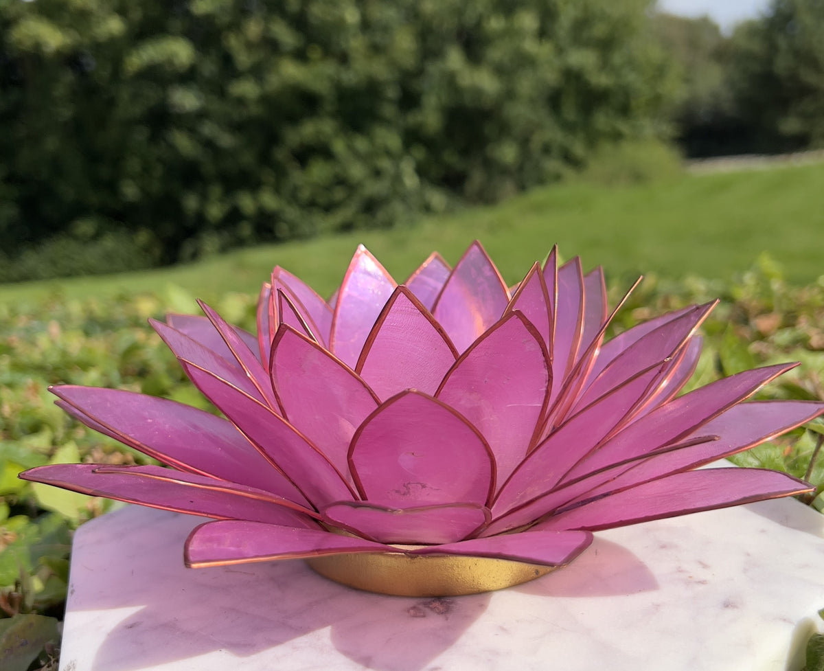 Lotus lysestage Lyserød XL 1