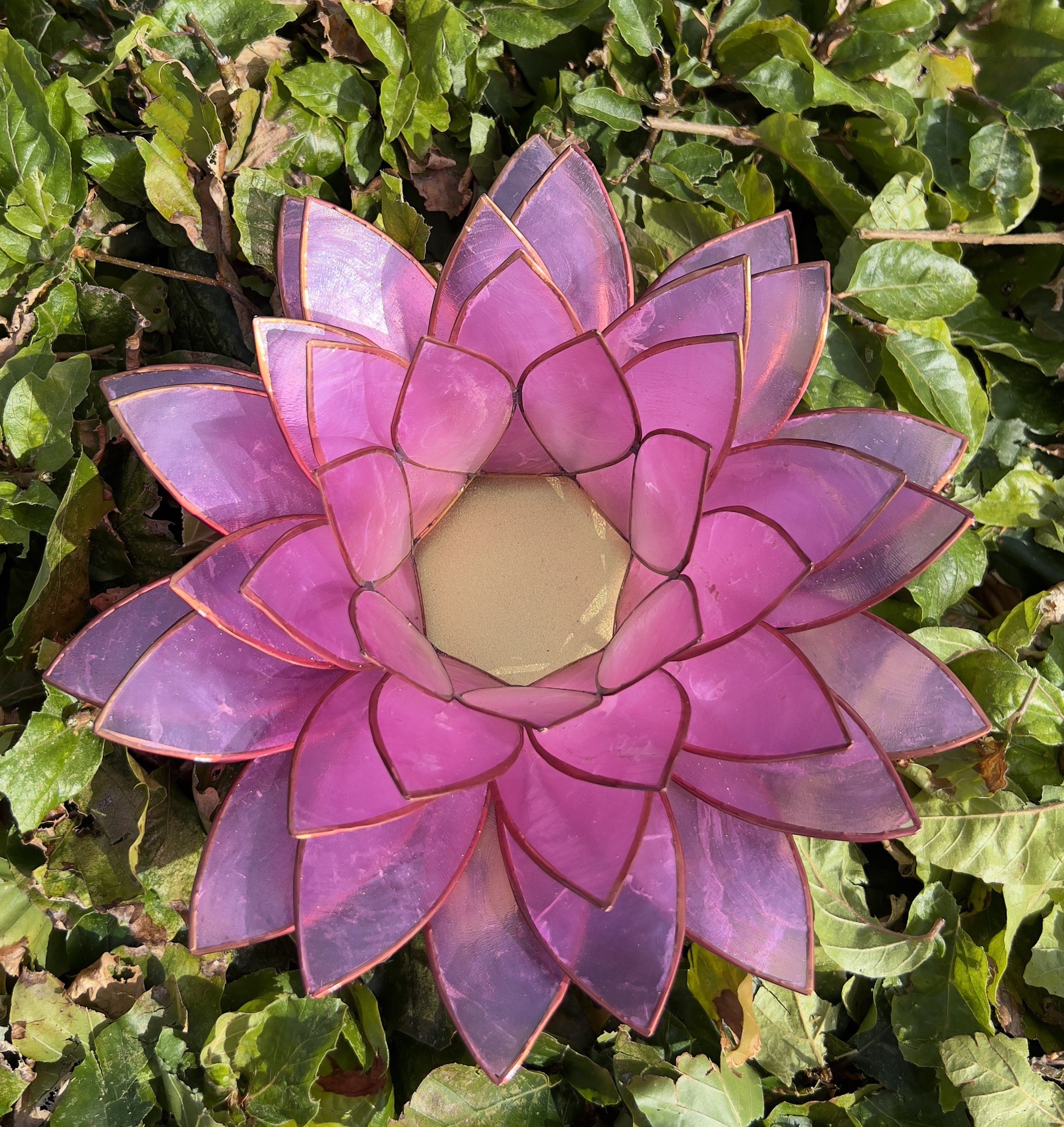 Lotus lysestage Lyserød XL 2