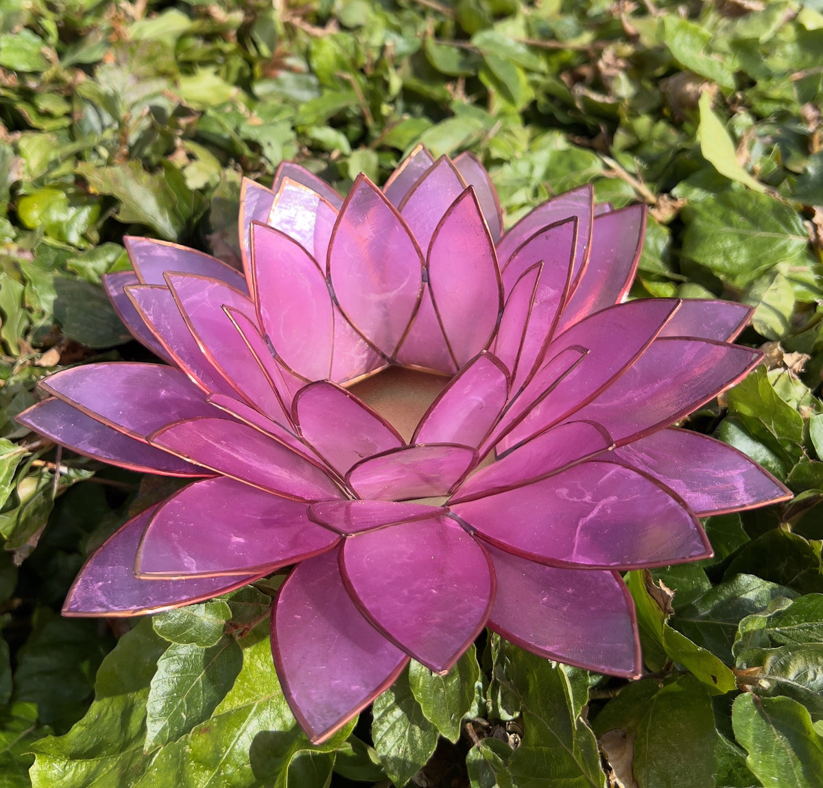 Lotus lysestage Lyserød XL 3