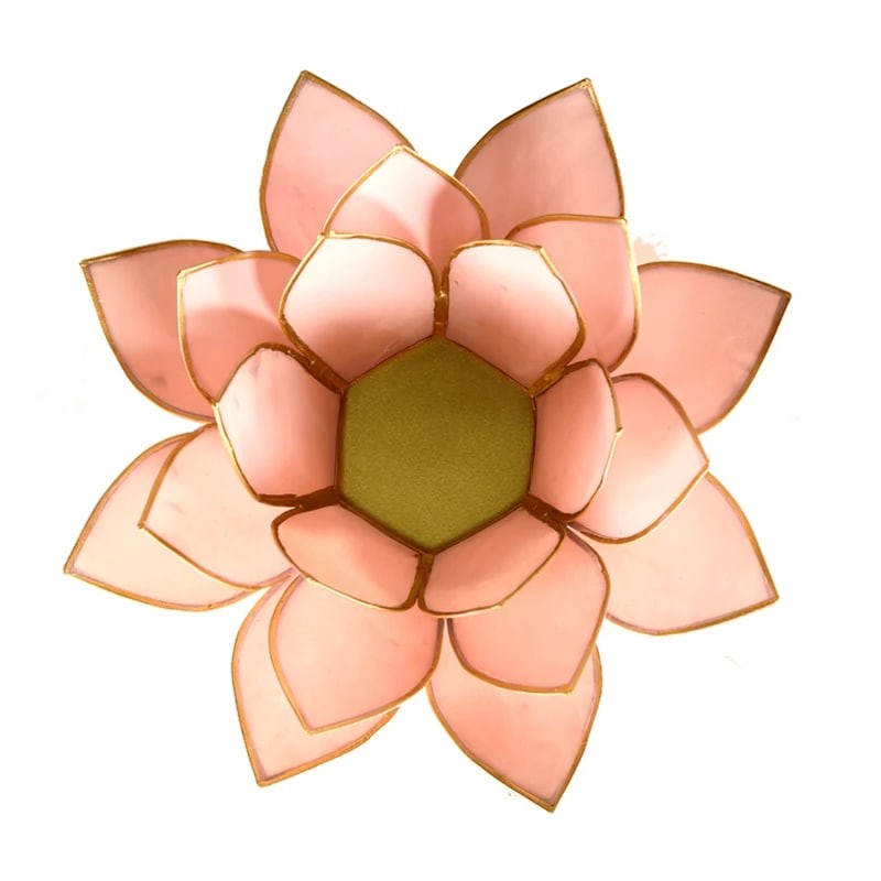 Lotus lysestage pastel pink guld 1