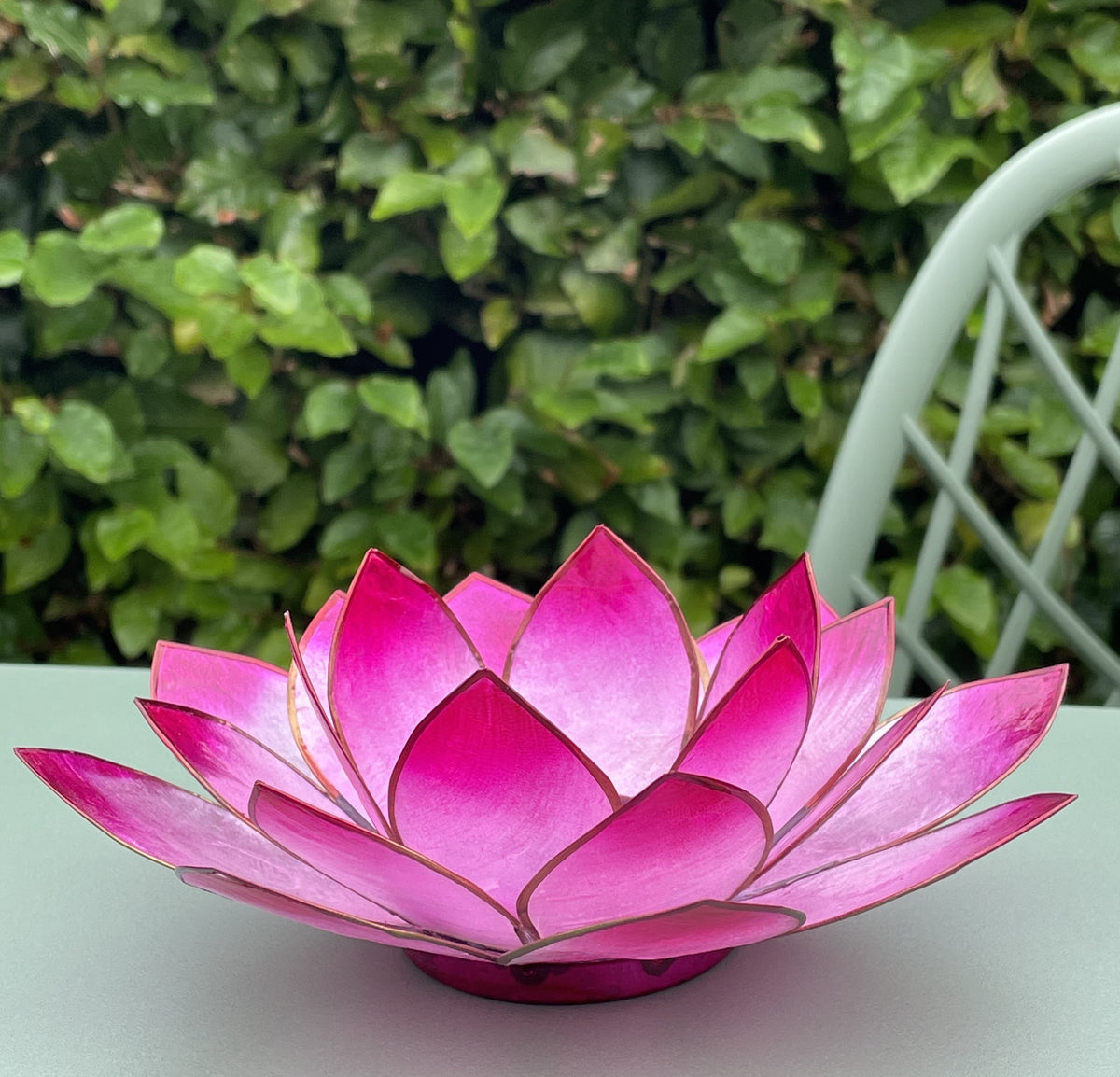 Lotus lysestage Pink 1