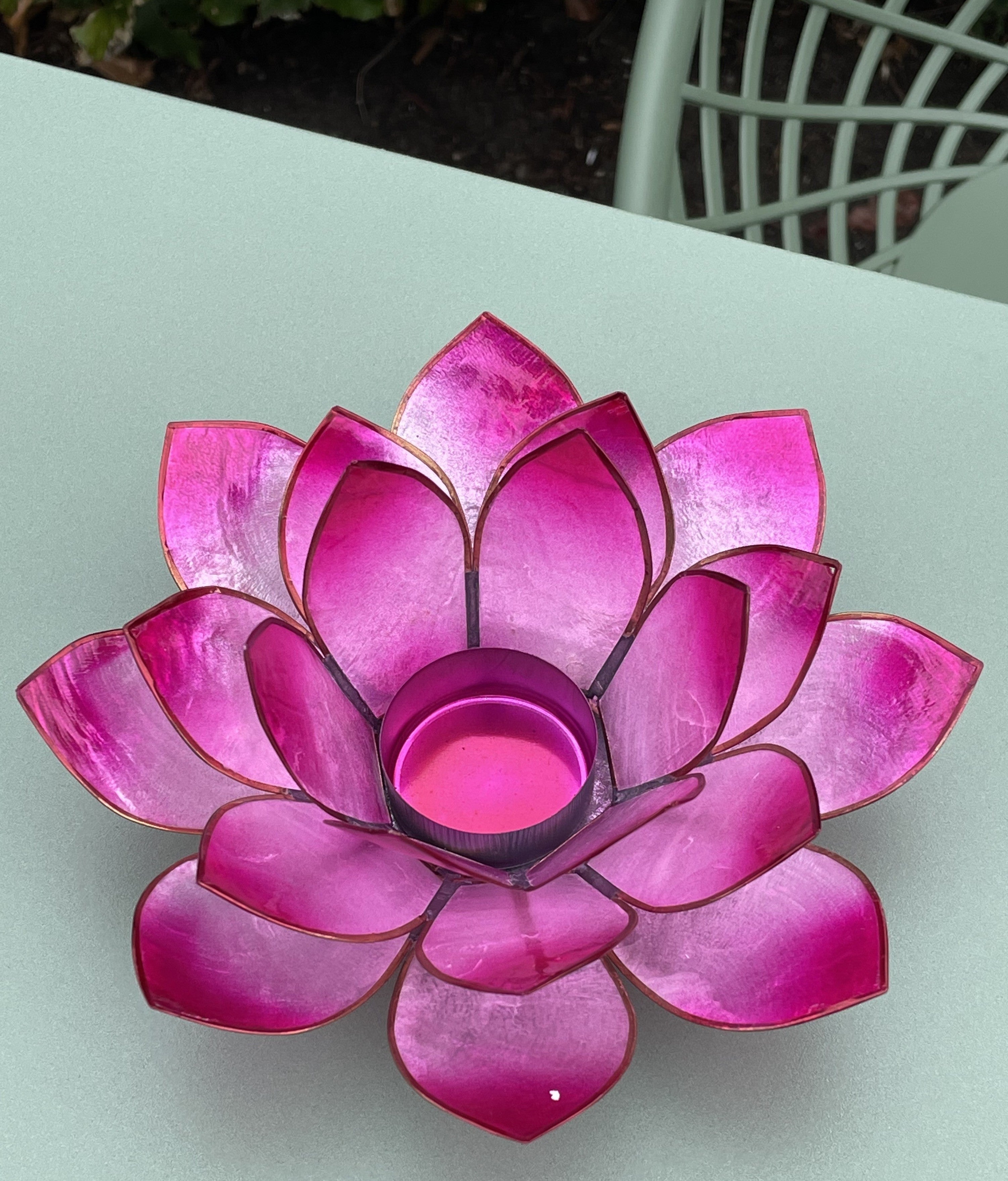 Lotus lysestage Pink 3