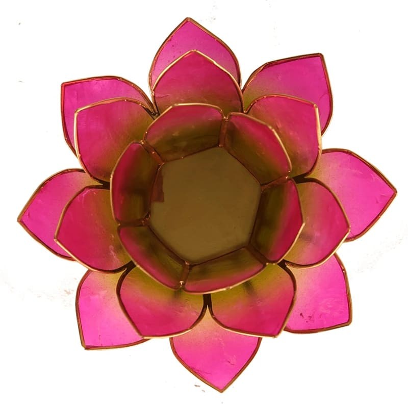 Lotus lysestage pink / grøn 4