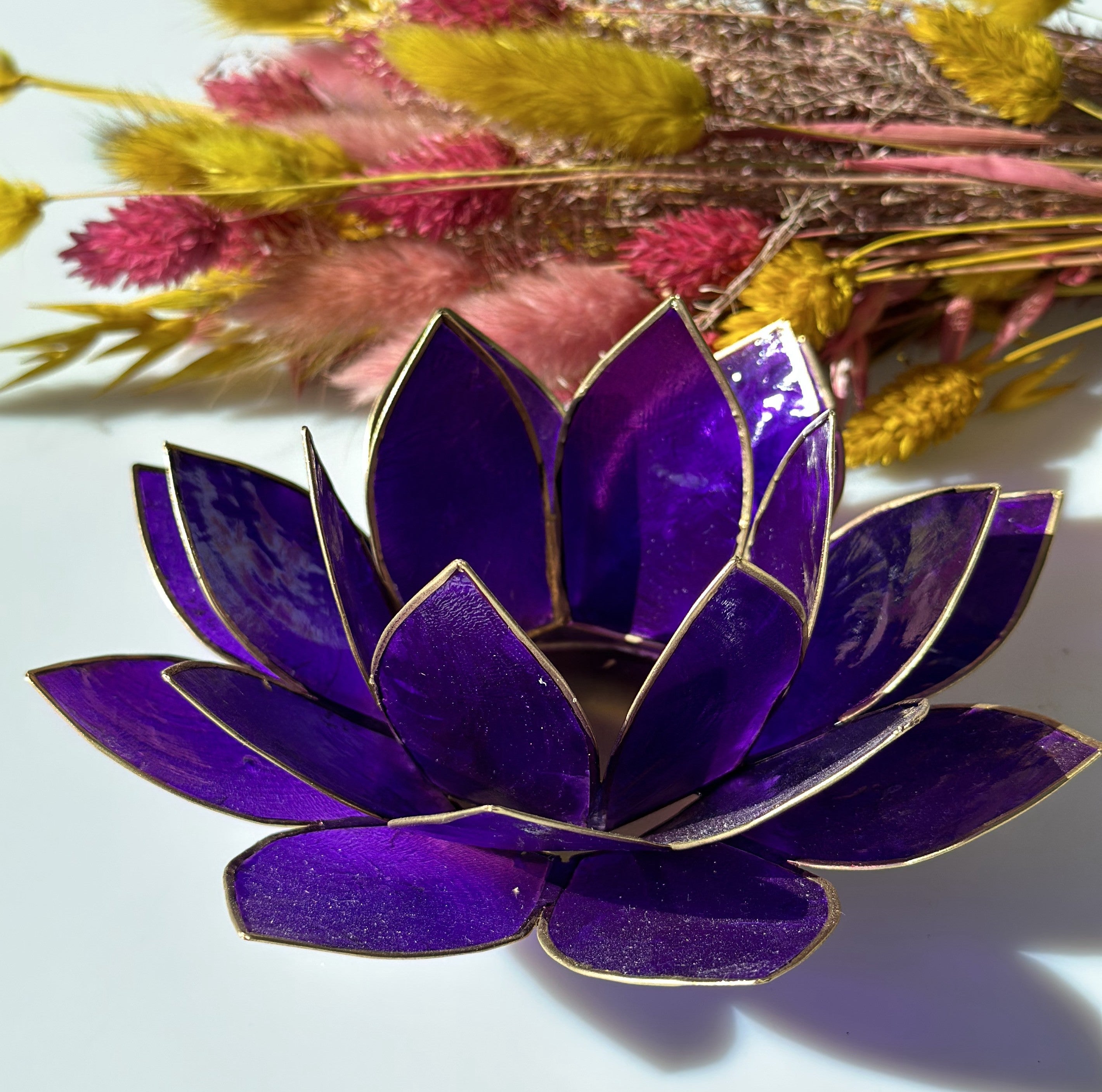 Lotus lysestage violet 13,5 cm 1