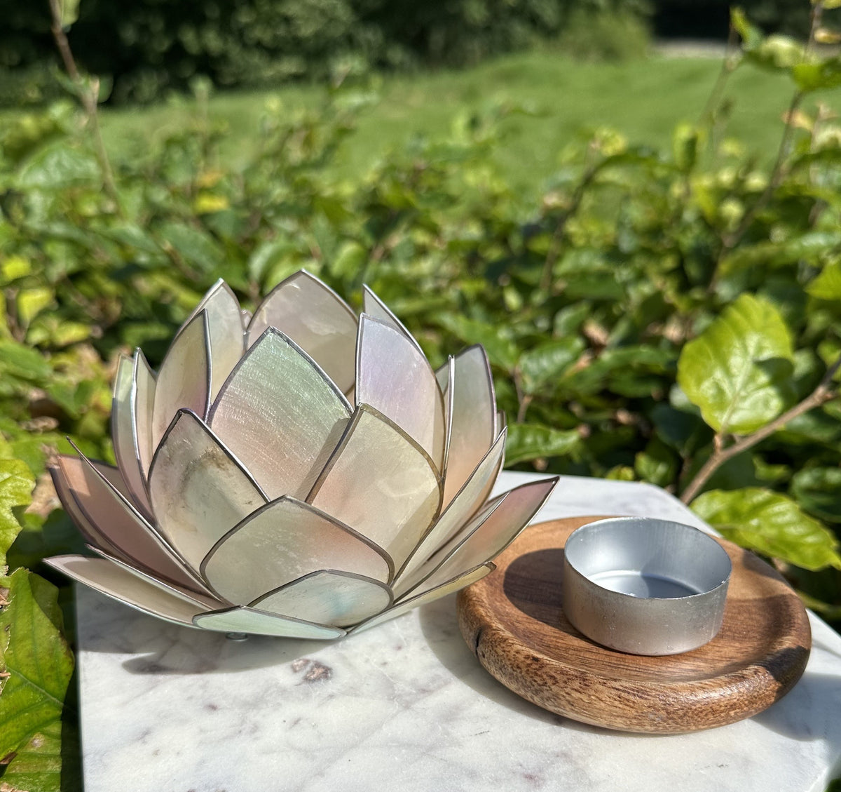 Lotus Stage med træ fod - Opal dream 3