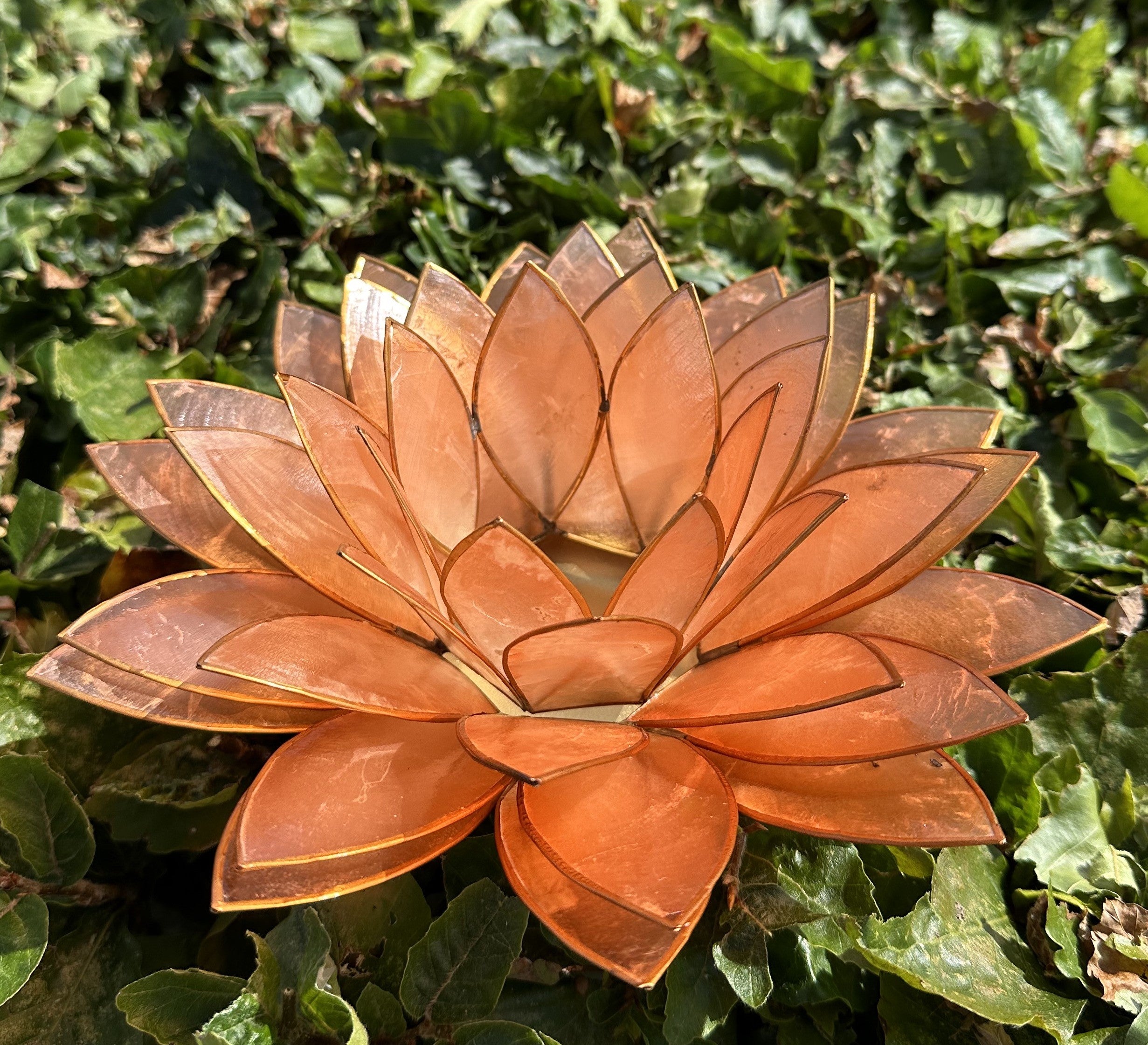 Lotus Stage XL - Peach 2