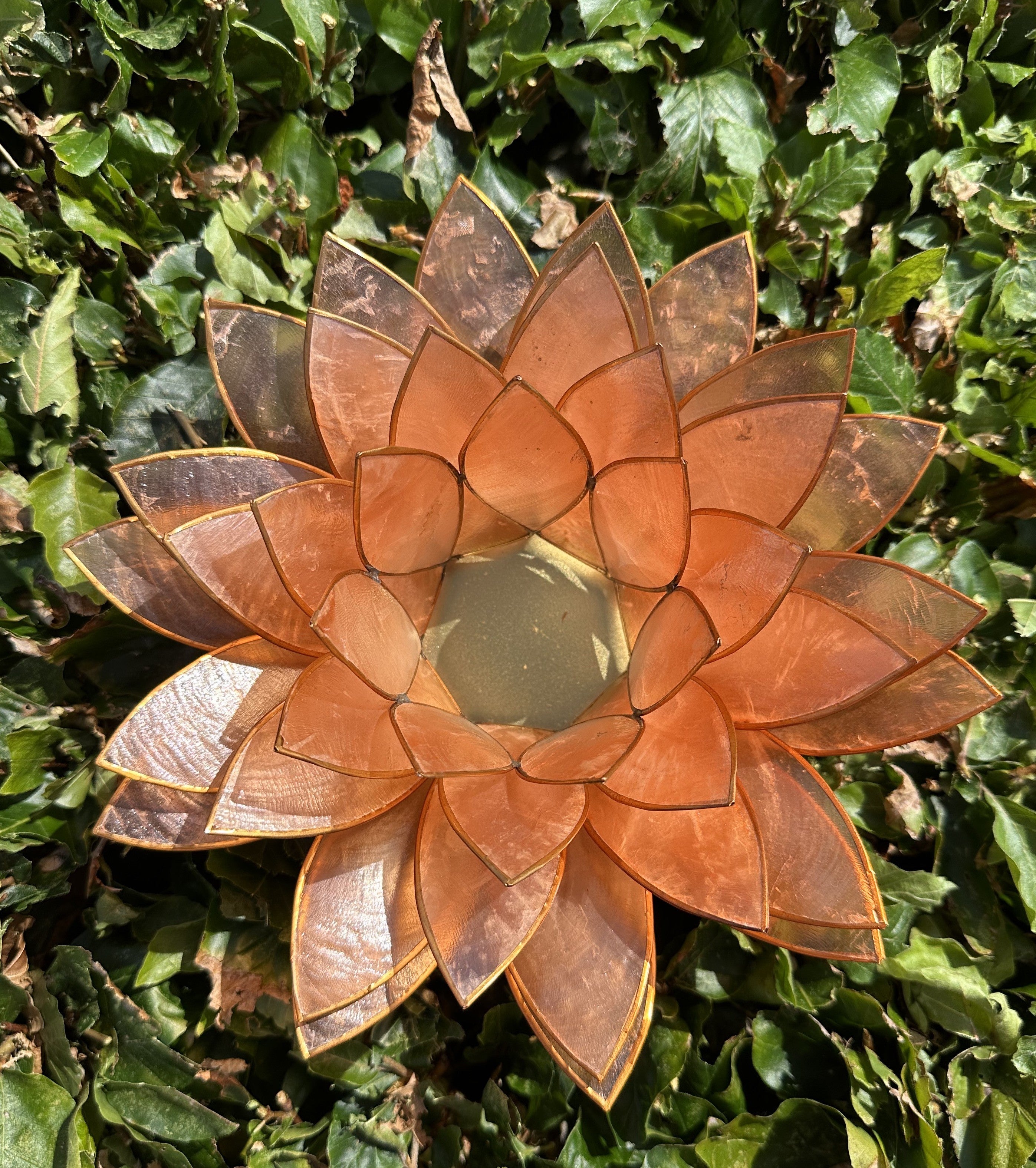 Lotus Stage XL - Peach 3